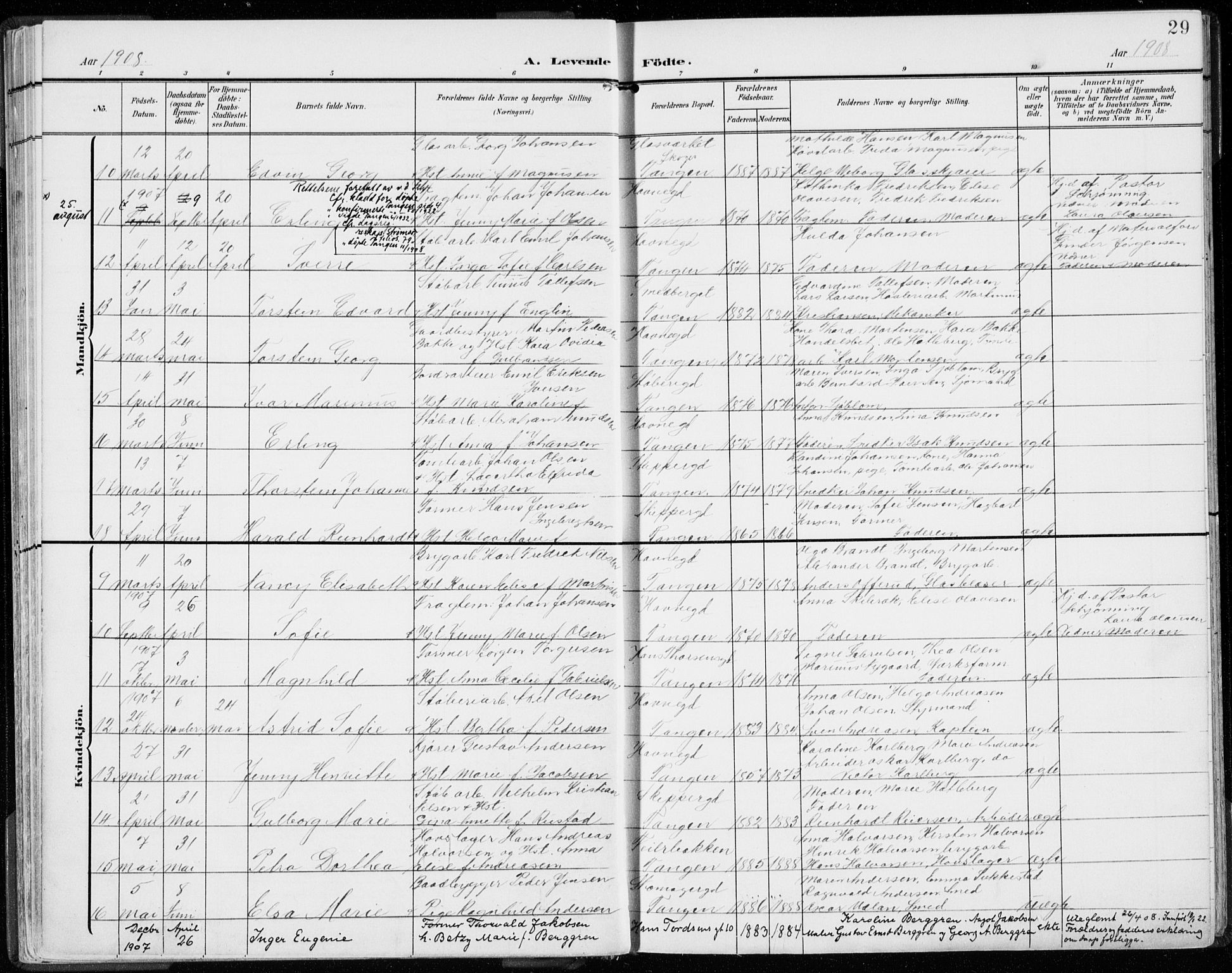 Strømsø kirkebøker, SAKO/A-246/F/Fb/L0008: Parish register (official) no. II 8, 1902-1933, p. 29