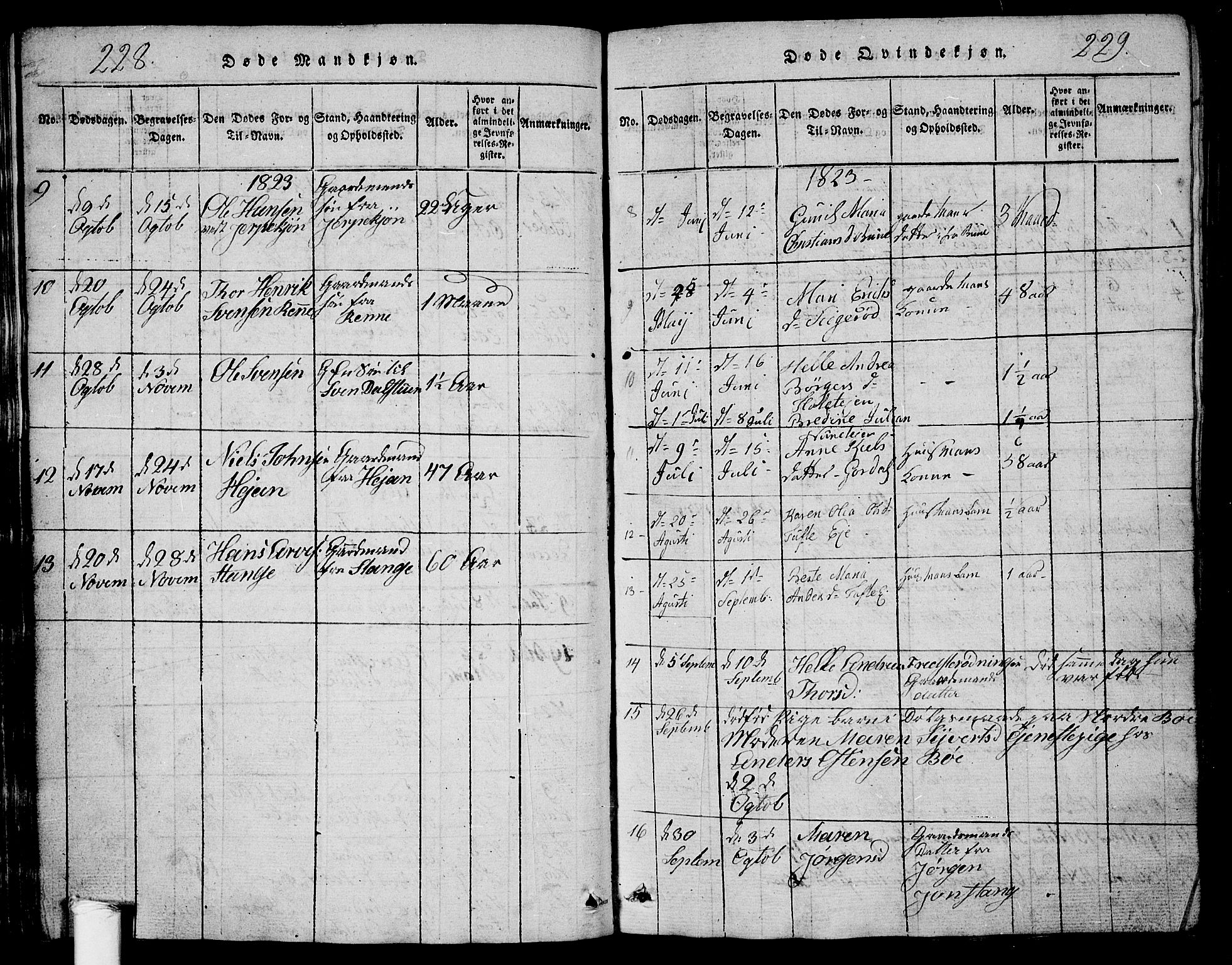 Ramnes kirkebøker, SAKO/A-314/G/Ga/L0001: Parish register (copy) no. I 1, 1813-1847, p. 228-229