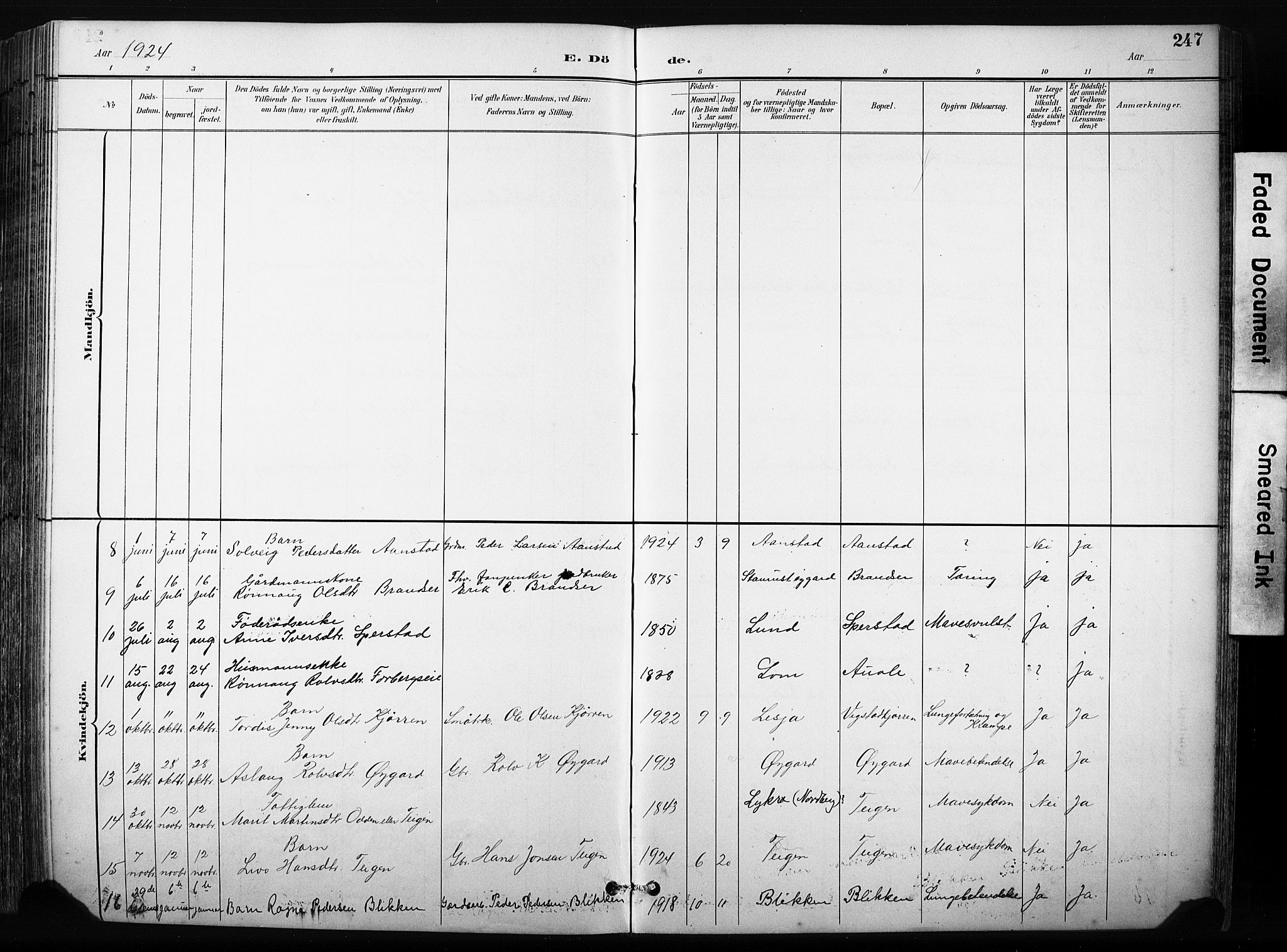 Skjåk prestekontor, SAH/PREST-072/H/Ha/Hab/L0003: Parish register (copy) no. 3, 1893-1932, p. 247