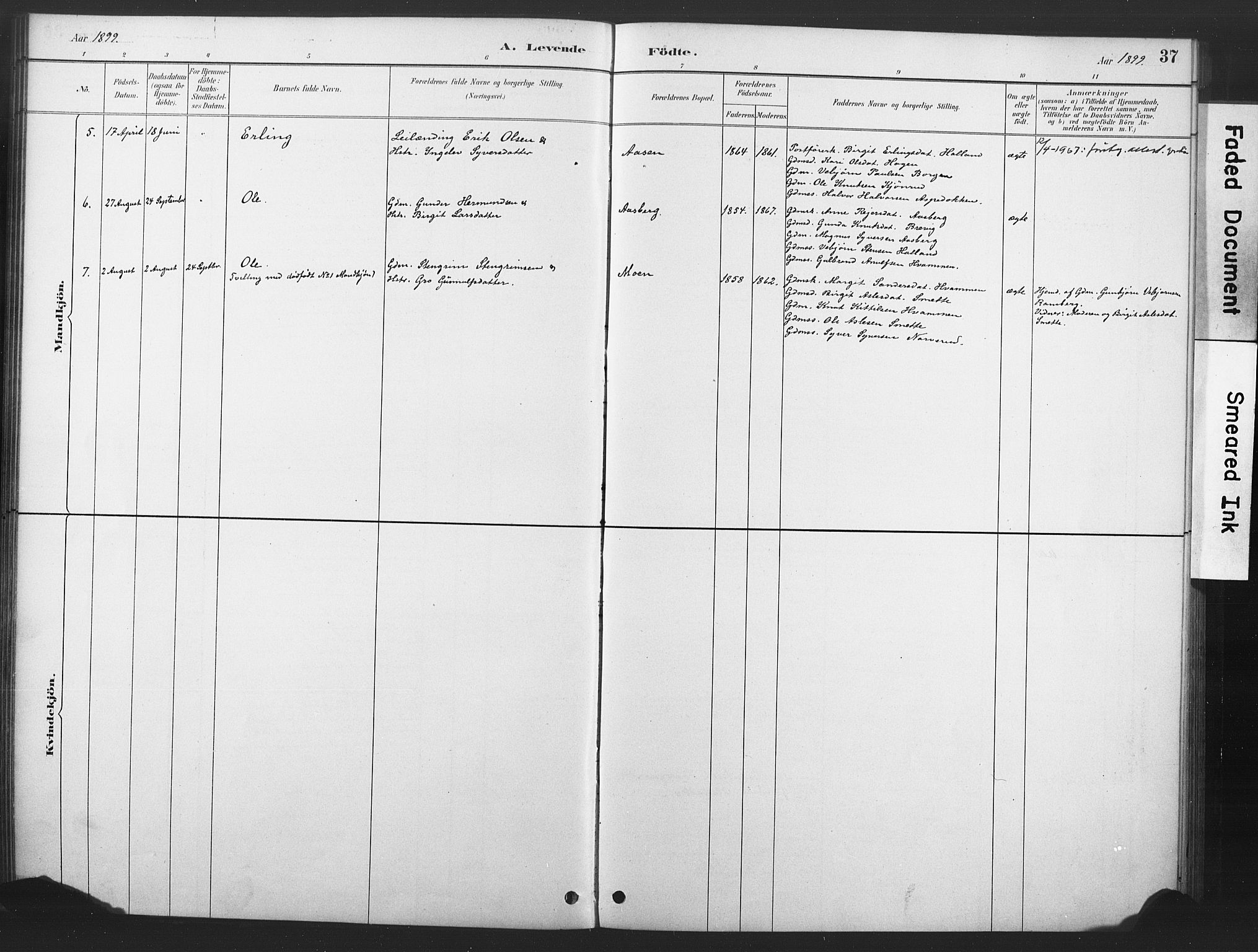 Nore kirkebøker, SAKO/A-238/F/Fd/L0001: Parish register (official) no. IV 1, 1878-1918, p. 37