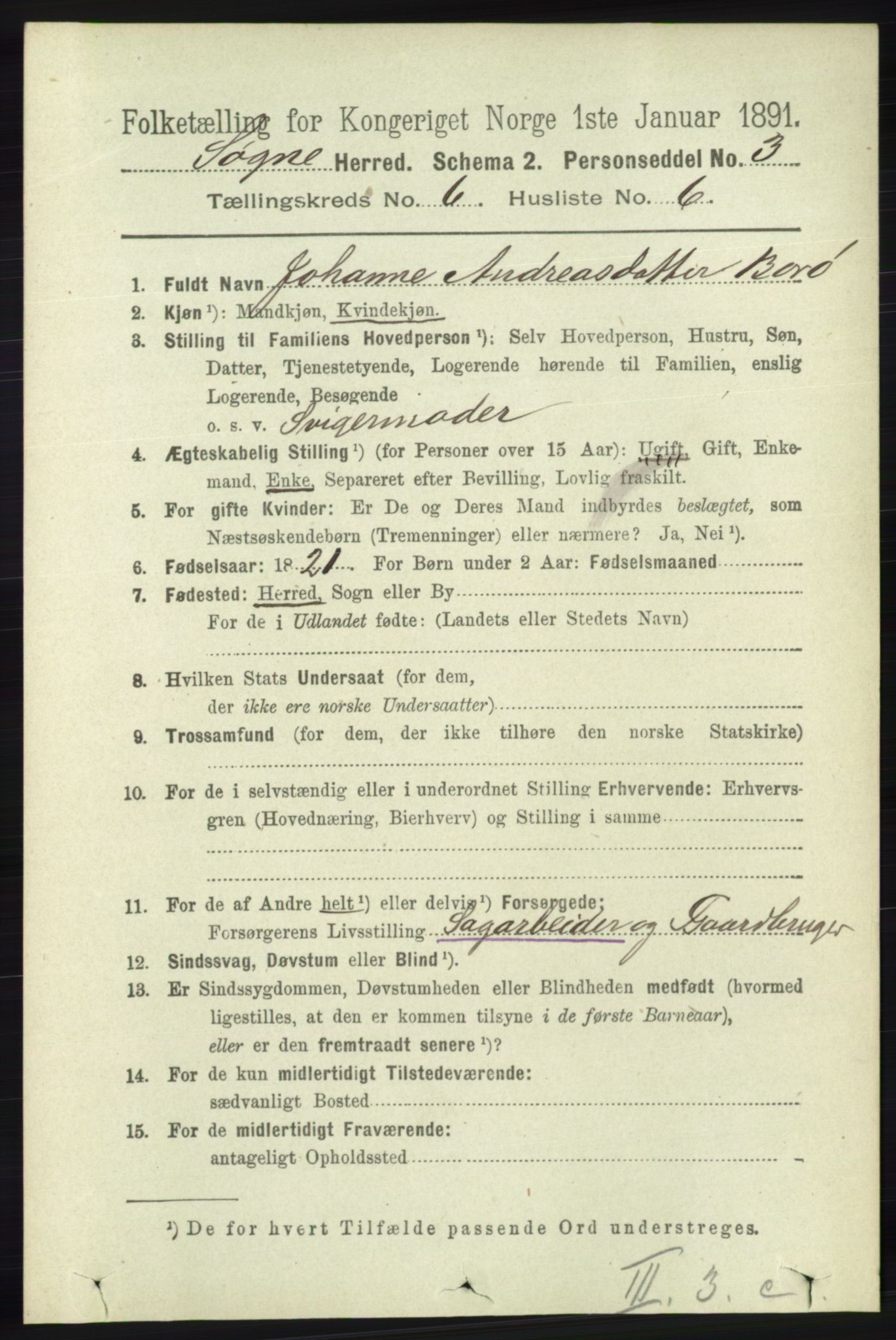 RA, 1891 census for 1018 Søgne, 1891, p. 1399