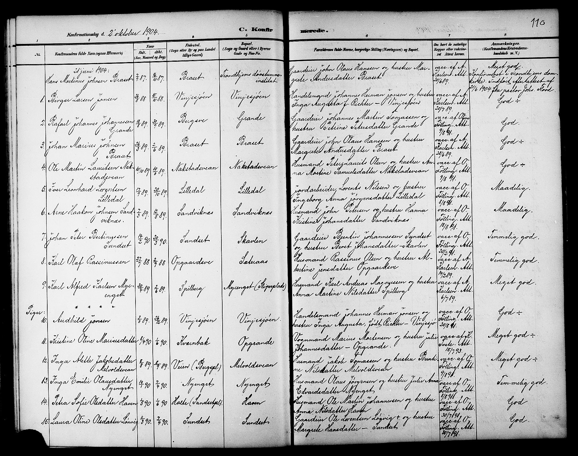 Ministerialprotokoller, klokkerbøker og fødselsregistre - Nord-Trøndelag, SAT/A-1458/733/L0327: Parish register (copy) no. 733C02, 1888-1918, p. 110