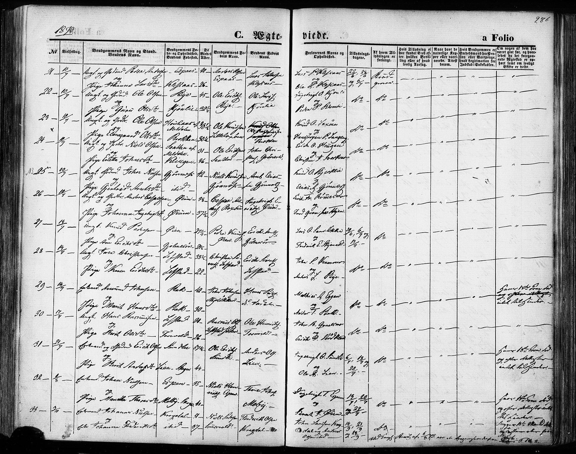 Ministerialprotokoller, klokkerbøker og fødselsregistre - Sør-Trøndelag, AV/SAT-A-1456/668/L0807: Parish register (official) no. 668A07, 1870-1880, p. 286