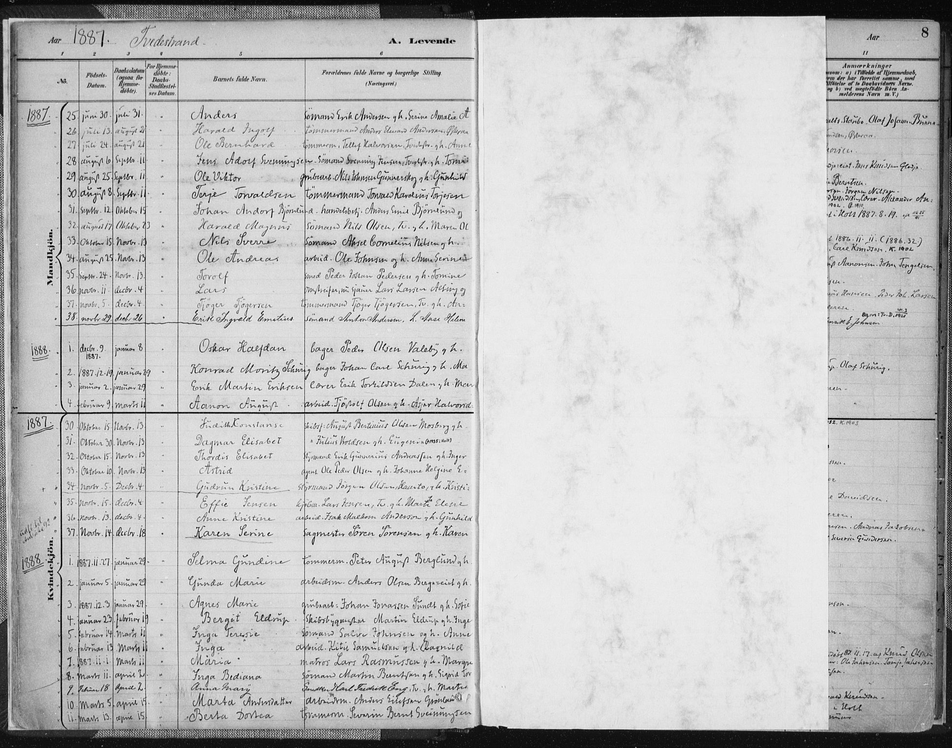 Tvedestrand sokneprestkontor, AV/SAK-1111-0042/F/Fa/L0001: Parish register (official) no. A 1, 1885-1916, p. 8