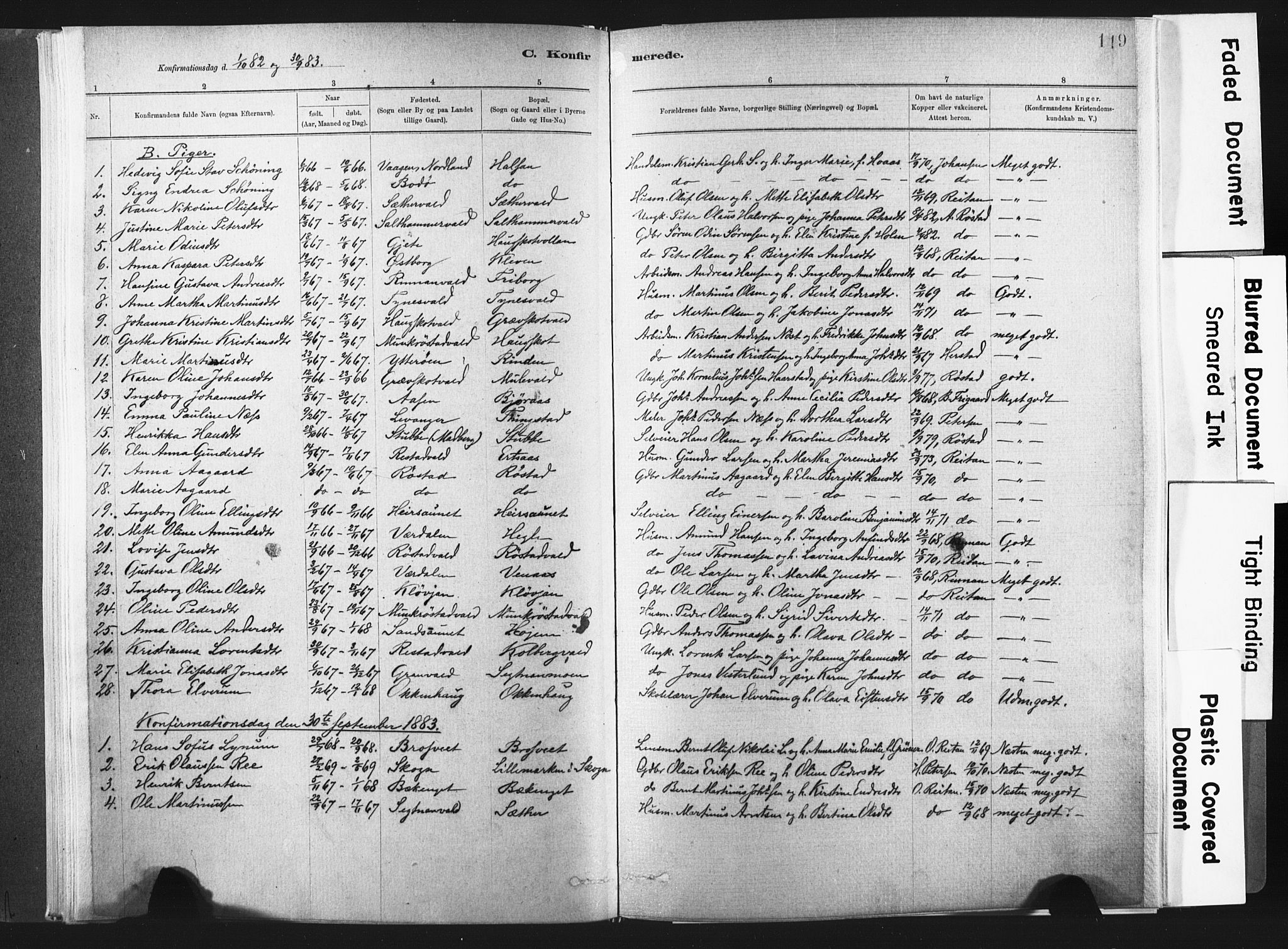 Ministerialprotokoller, klokkerbøker og fødselsregistre - Nord-Trøndelag, SAT/A-1458/721/L0207: Parish register (official) no. 721A02, 1880-1911, p. 119