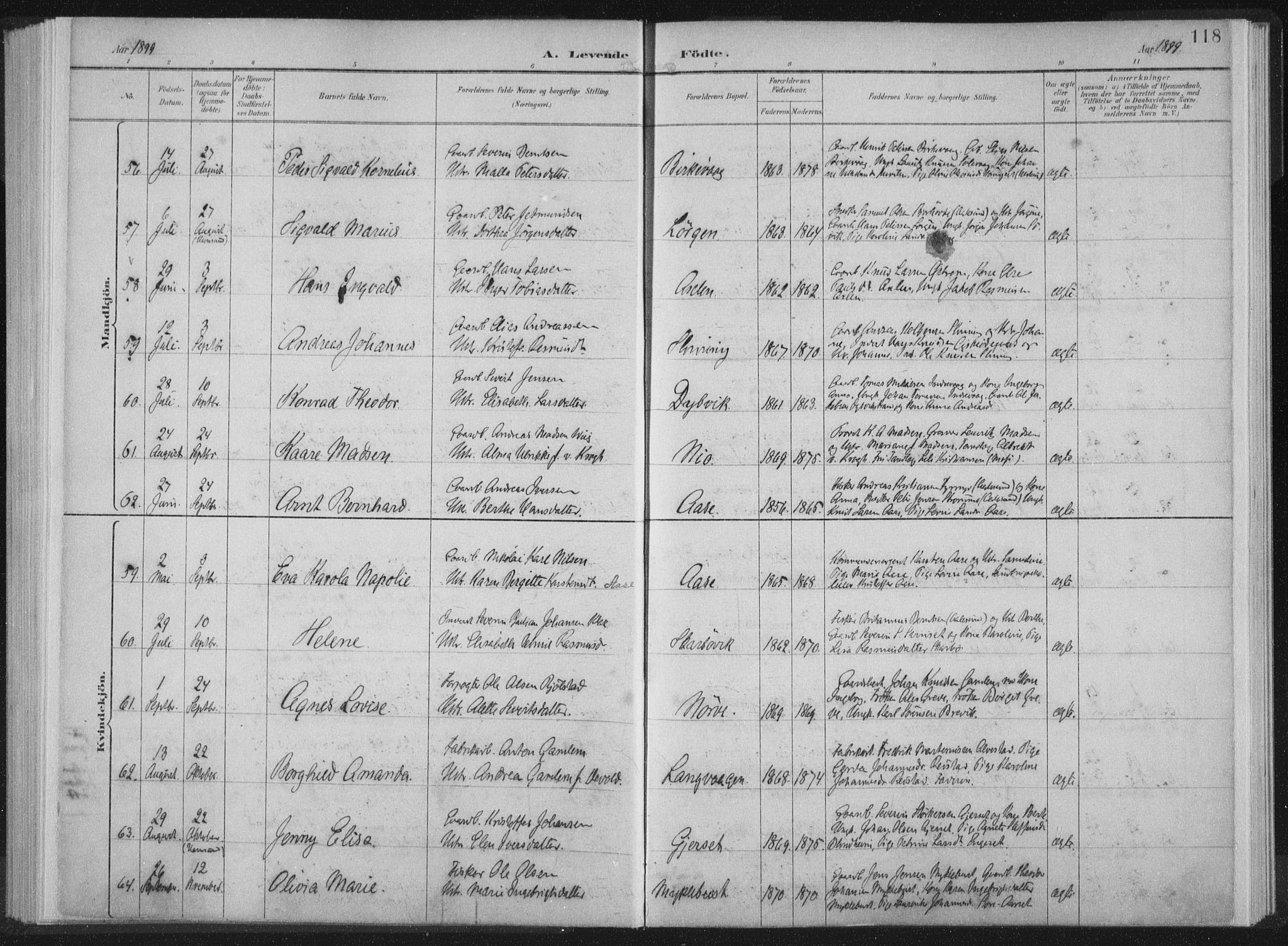 Ministerialprotokoller, klokkerbøker og fødselsregistre - Møre og Romsdal, AV/SAT-A-1454/528/L0405: Parish register (official) no. 528A14, 1891-1906, p. 118