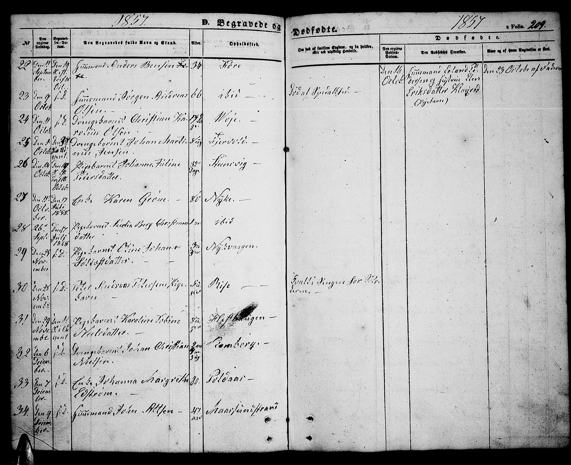 Ministerialprotokoller, klokkerbøker og fødselsregistre - Nordland, SAT/A-1459/891/L1313: Parish register (copy) no. 891C02, 1856-1870, p. 209