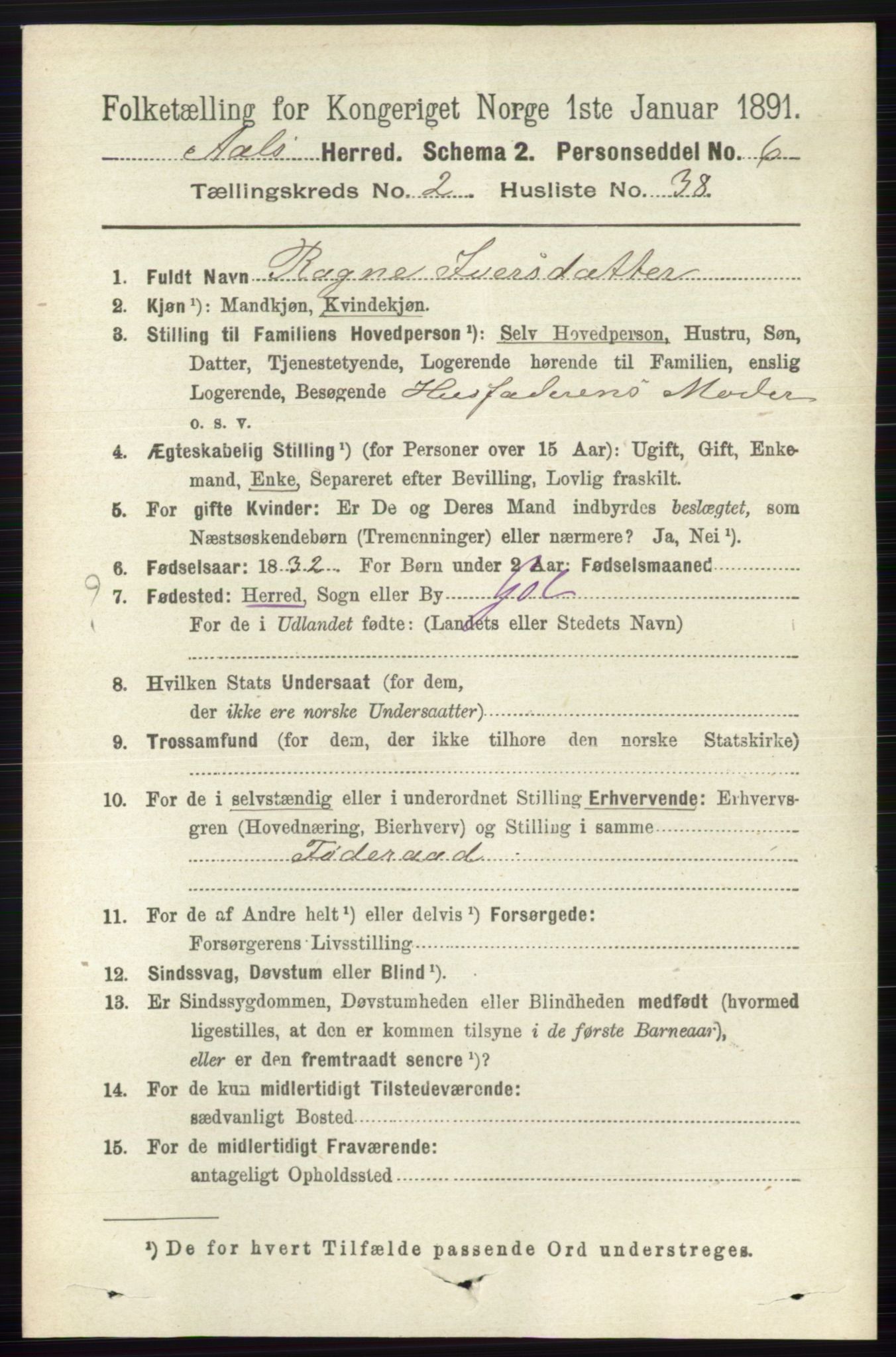 RA, 1891 census for 0619 Ål, 1891, p. 591