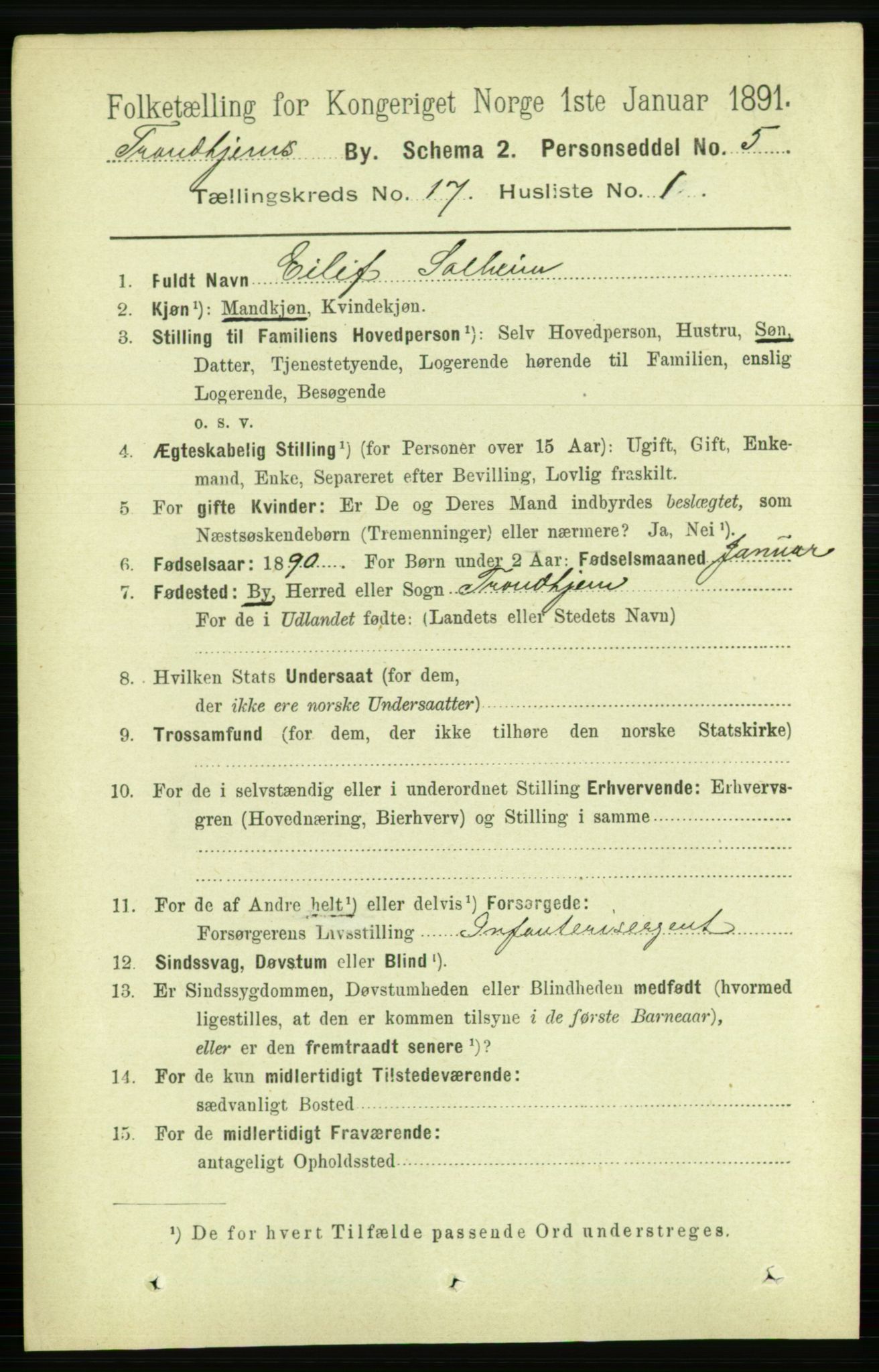 RA, 1891 census for 1601 Trondheim, 1891, p. 13211