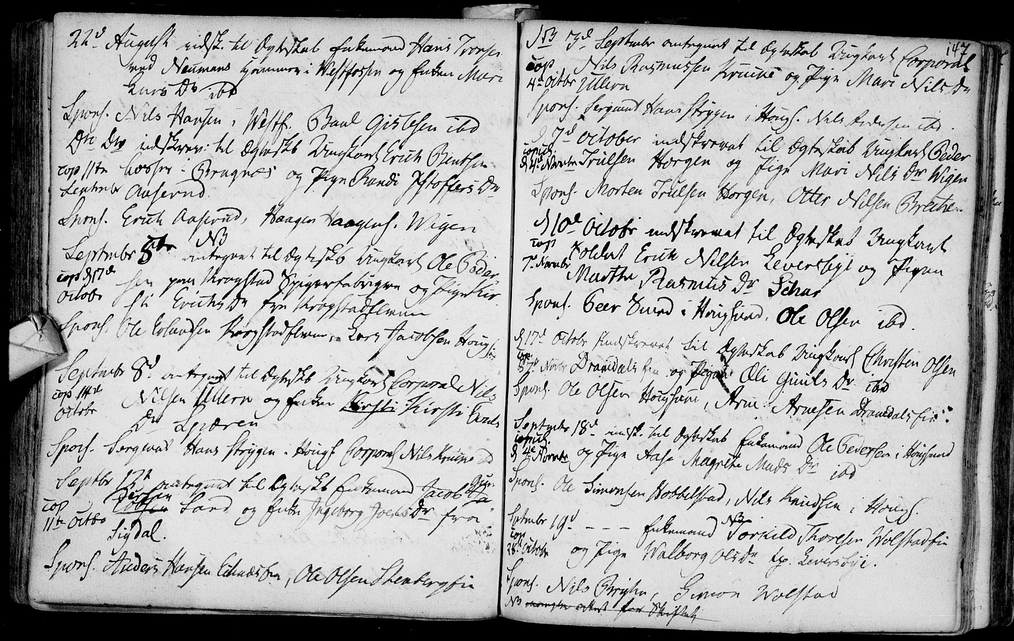 Eiker kirkebøker, AV/SAKO-A-4/F/Fa/L0007: Parish register (official) no. I 7 /1, 1733-1808, p. 147