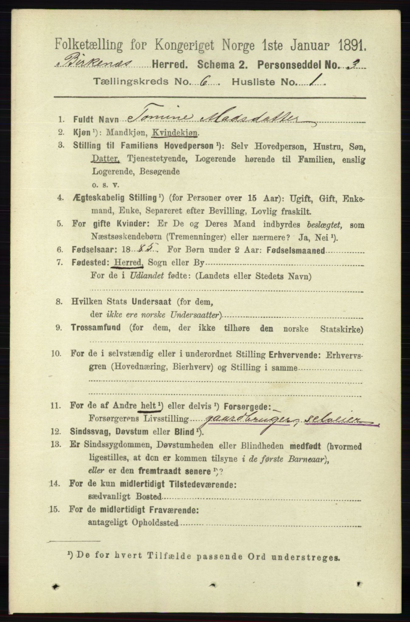 RA, 1891 Census for 0928 Birkenes, 1891, p. 1796