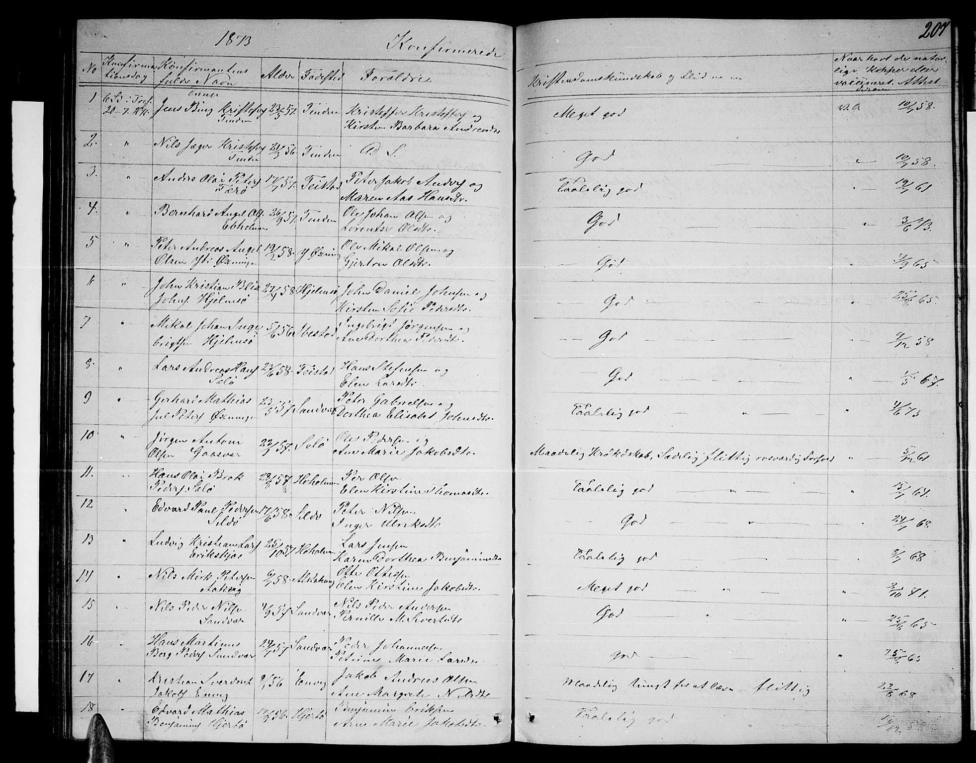 Ministerialprotokoller, klokkerbøker og fødselsregistre - Nordland, AV/SAT-A-1459/834/L0512: Parish register (copy) no. 834C03, 1862-1877, p. 207