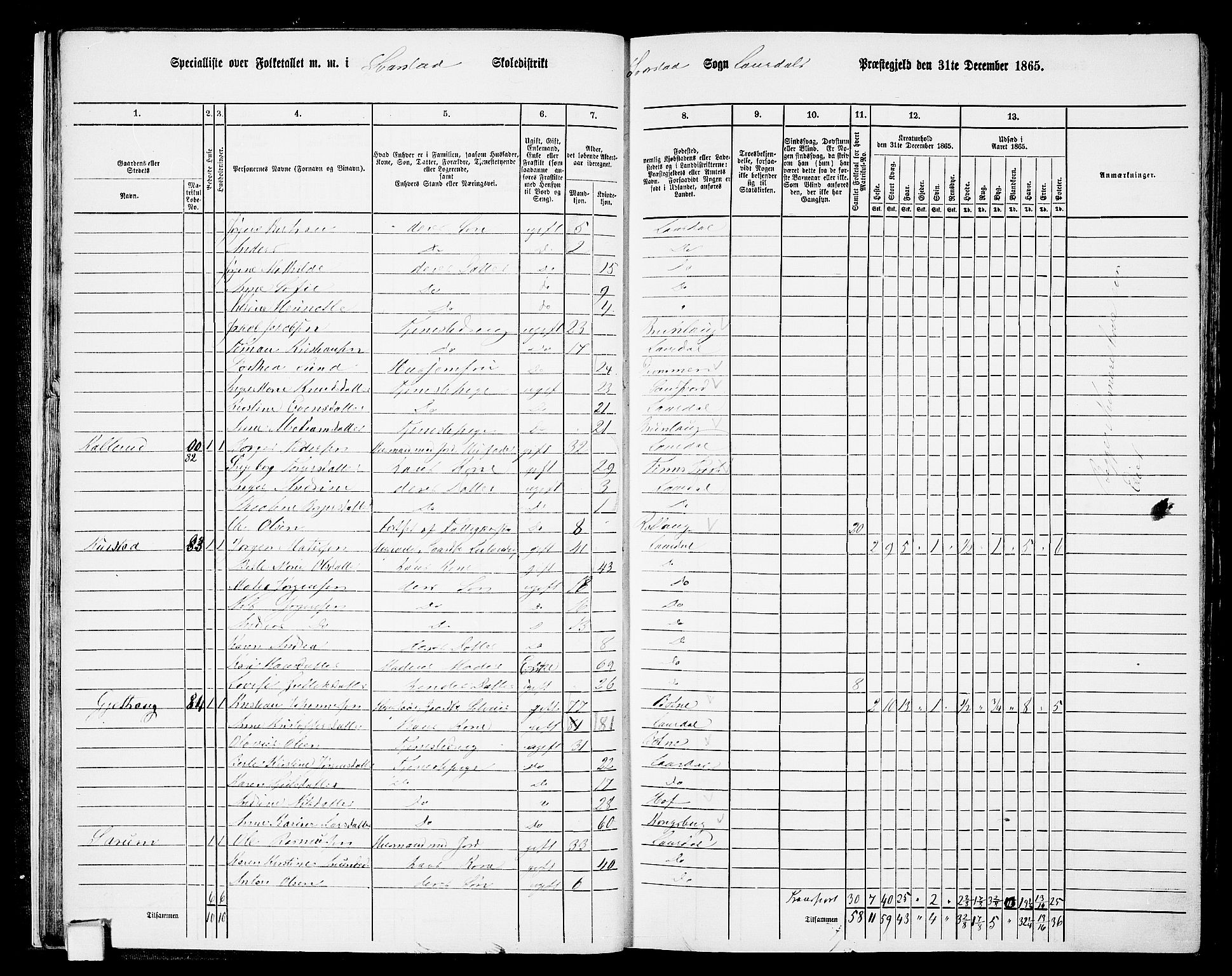 RA, 1865 census for Lardal, 1865, p. 25