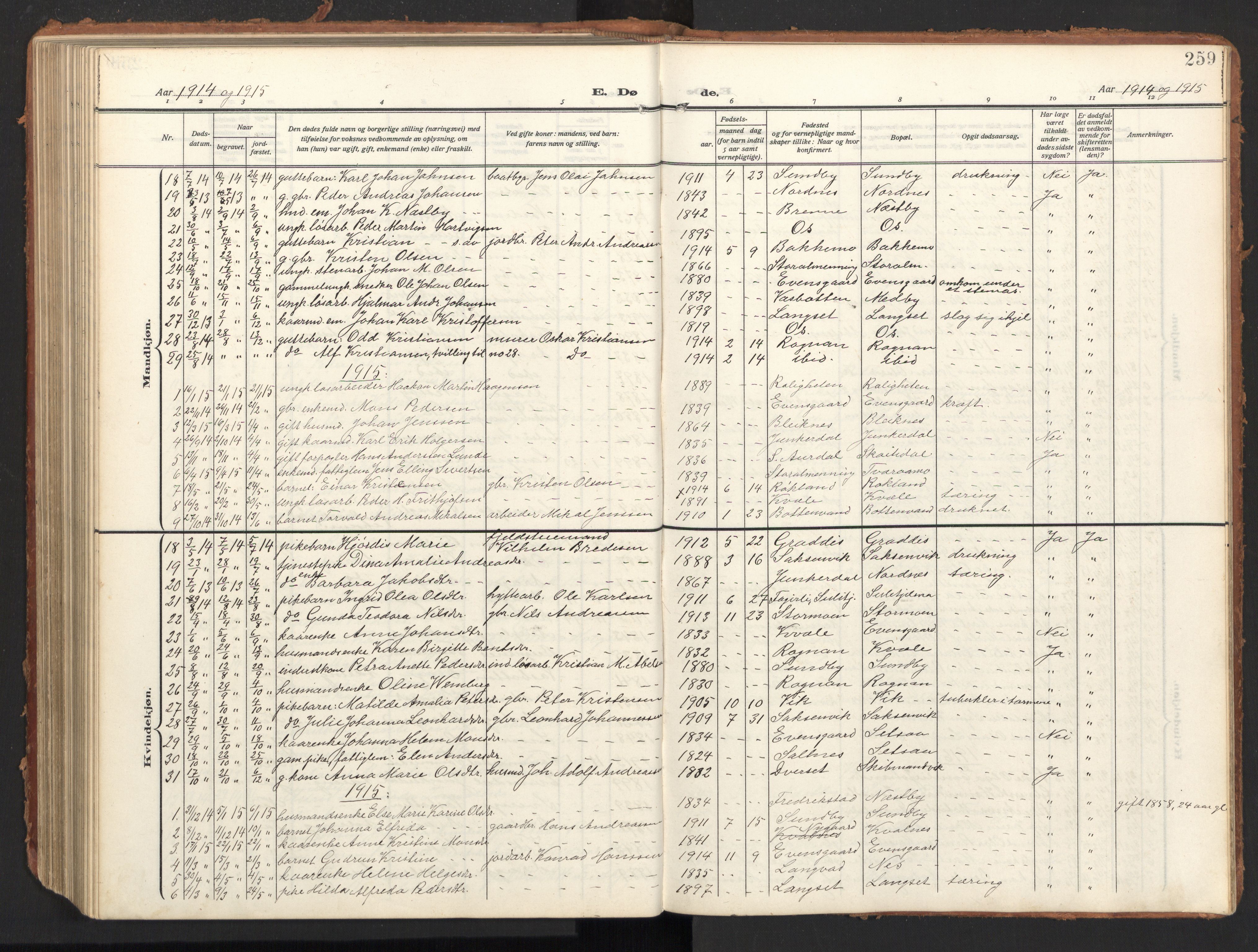Ministerialprotokoller, klokkerbøker og fødselsregistre - Nordland, AV/SAT-A-1459/847/L0683: Parish register (copy) no. 847C11, 1908-1929, p. 259