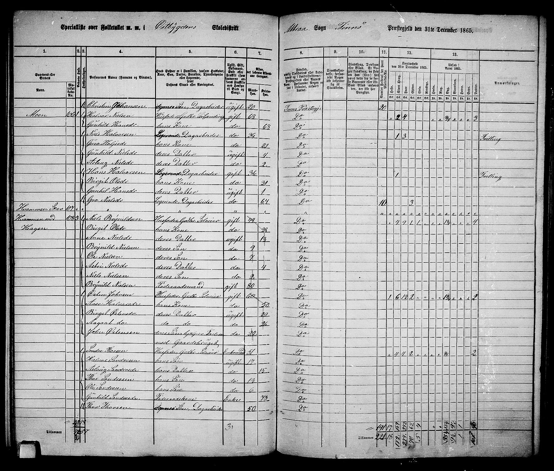 RA, 1865 census for Tinn, 1865, p. 16