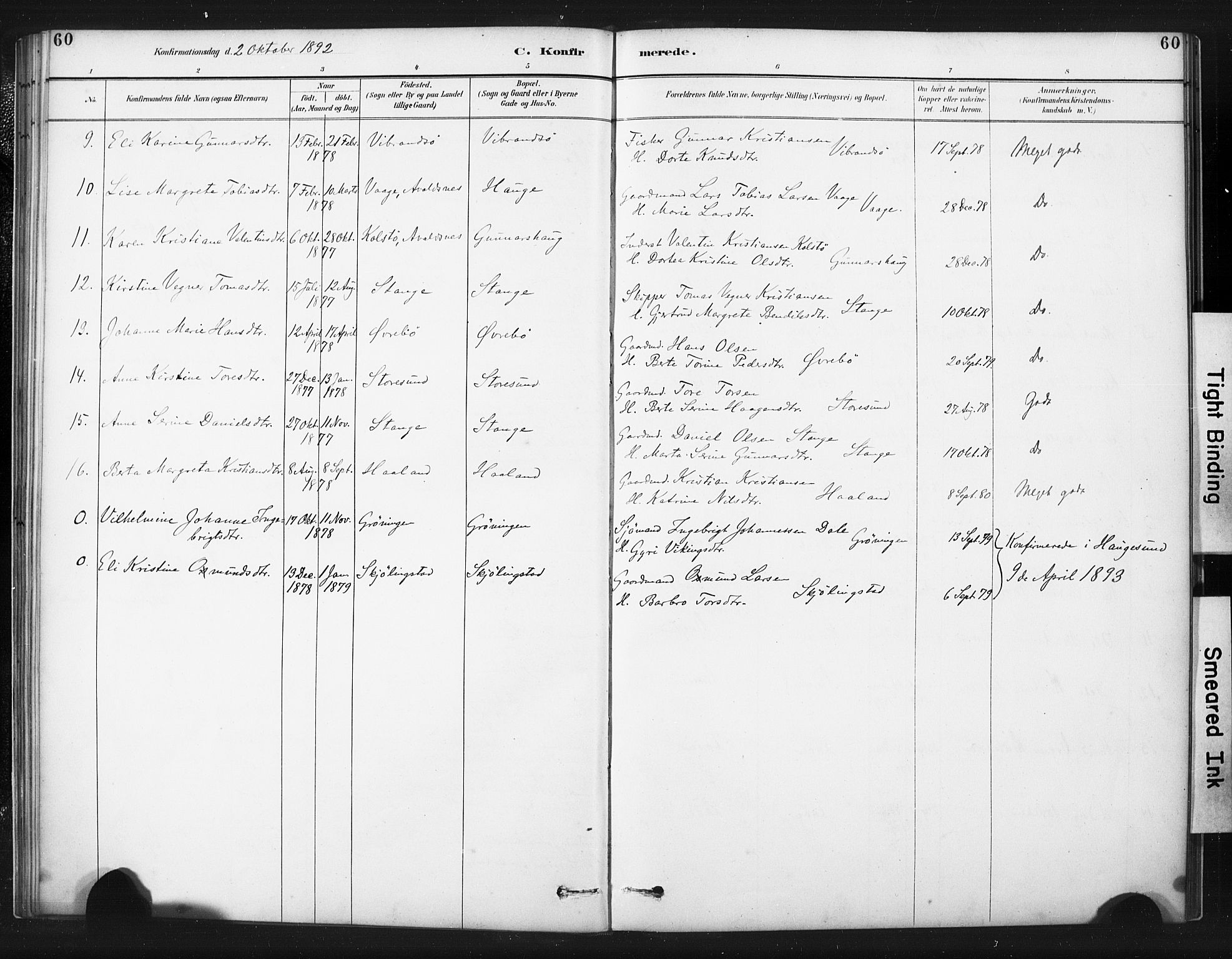 Torvastad sokneprestkontor, AV/SAST-A -101857/H/Ha/Haa/L0015: Parish register (official) no. A 14, 1888-1899, p. 60