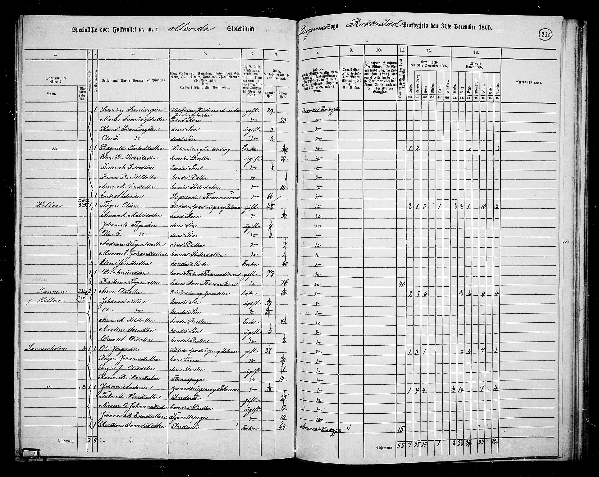 RA, 1865 census for Rakkestad, 1865, p. 211