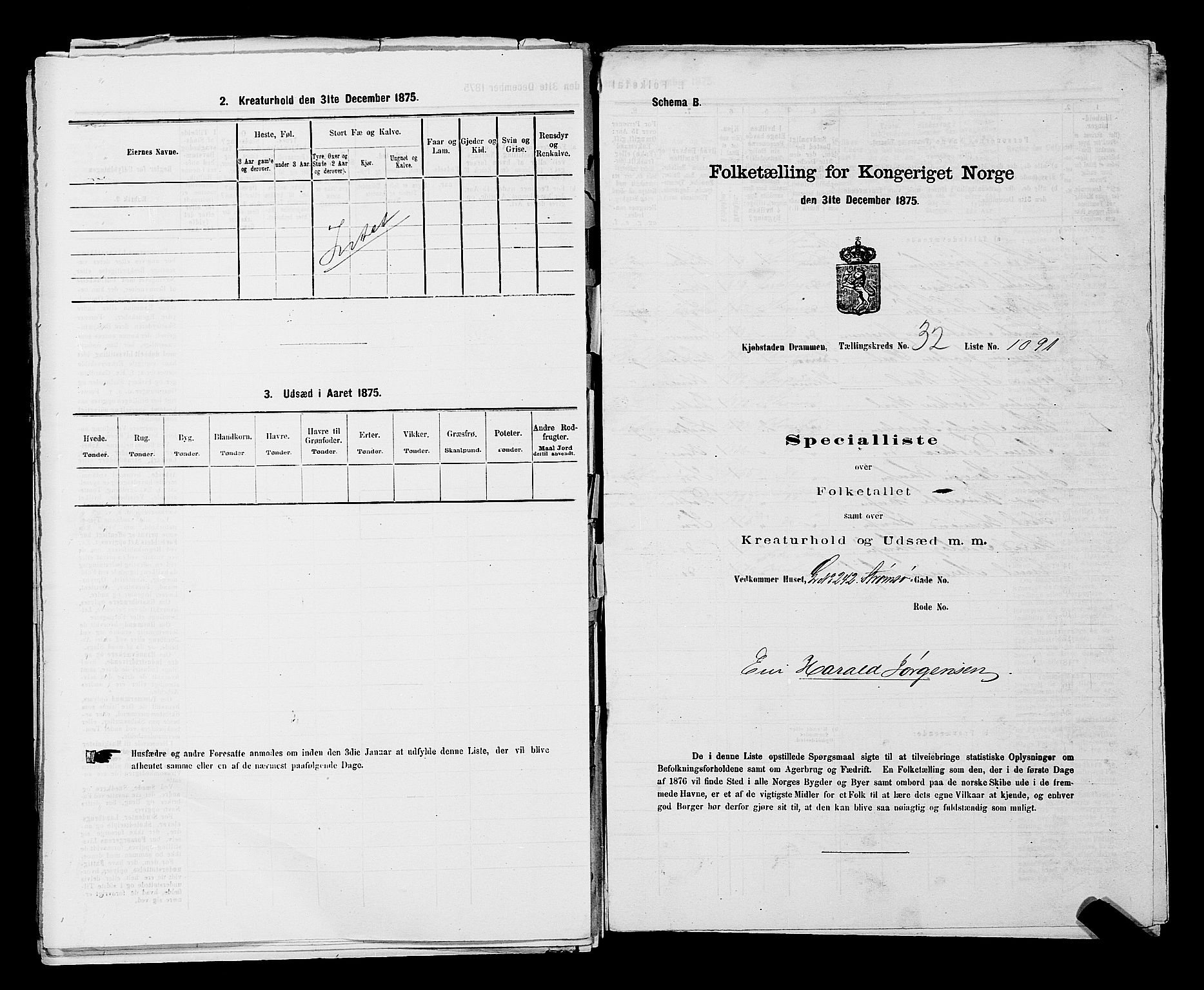 SAKO, 1875 census for 0602 Drammen, 1875, p. 2915