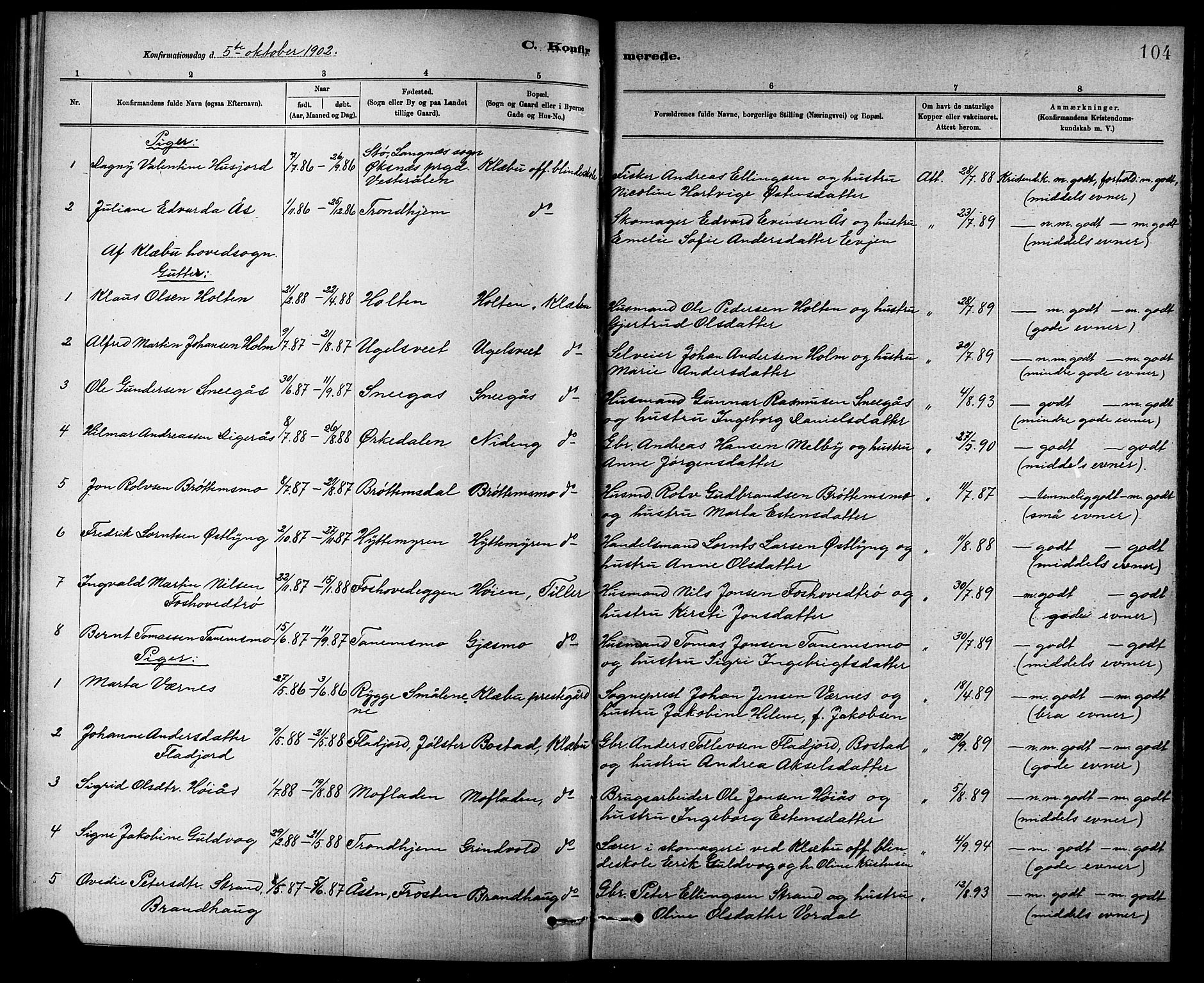 Ministerialprotokoller, klokkerbøker og fødselsregistre - Sør-Trøndelag, SAT/A-1456/618/L0452: Parish register (copy) no. 618C03, 1884-1906, p. 104