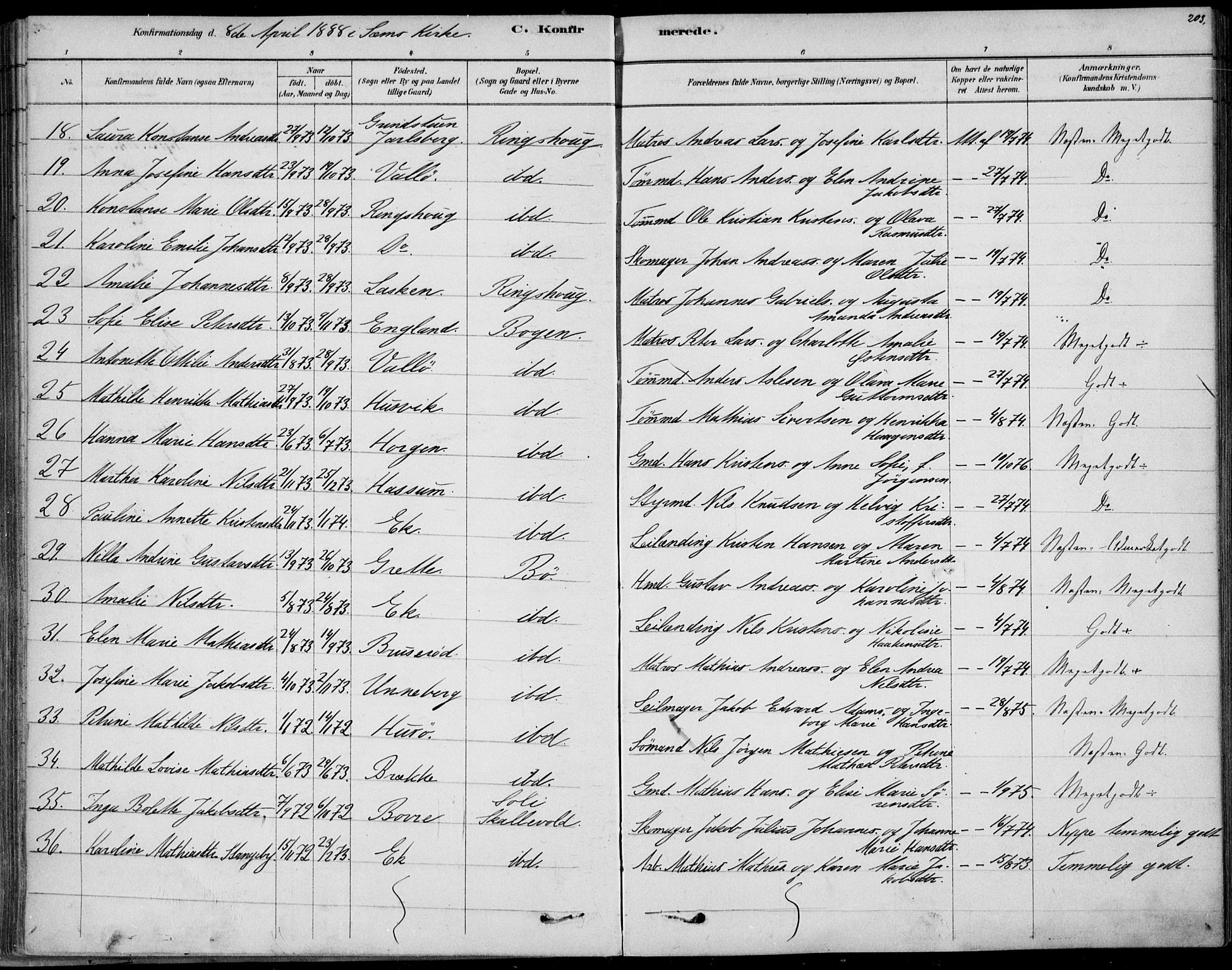 Sem kirkebøker, AV/SAKO-A-5/F/Fb/L0004: Parish register (official) no. II 4, 1878-1891, p. 203