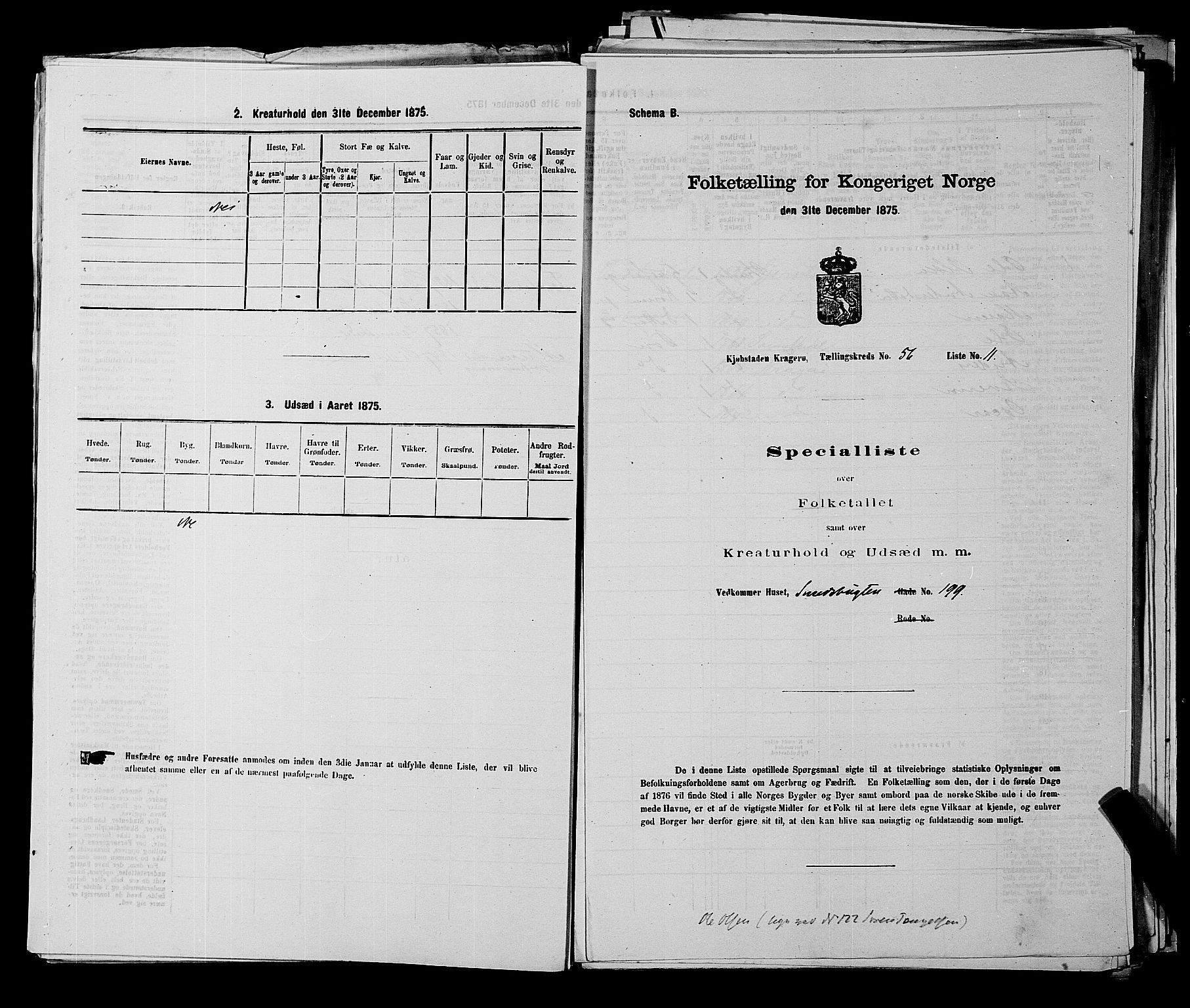 SAKO, 1875 census for 0801P Kragerø, 1875, p. 1258