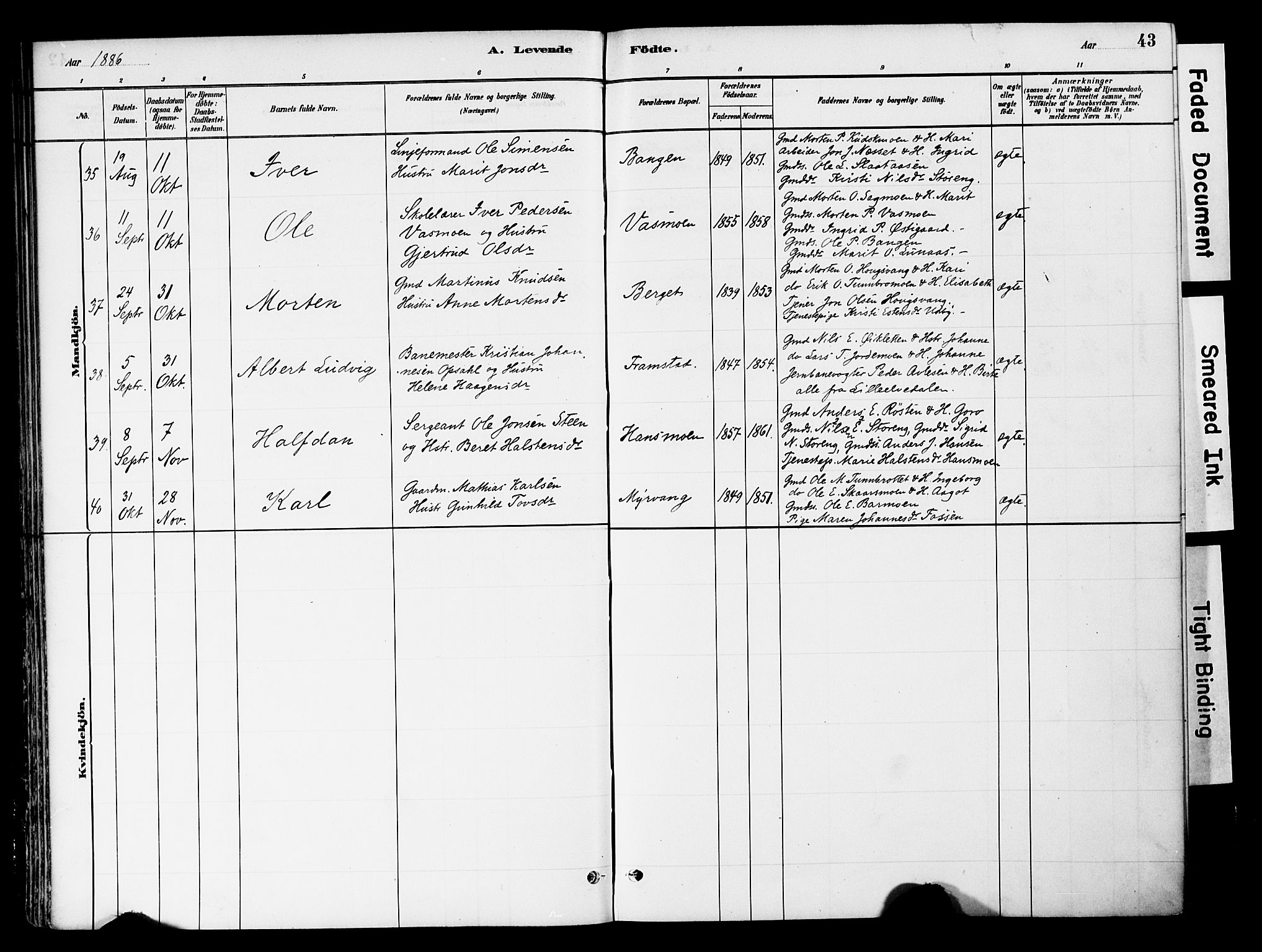 Tynset prestekontor, SAH/PREST-058/H/Ha/Haa/L0022: Parish register (official) no. 22, 1880-1899, p. 43