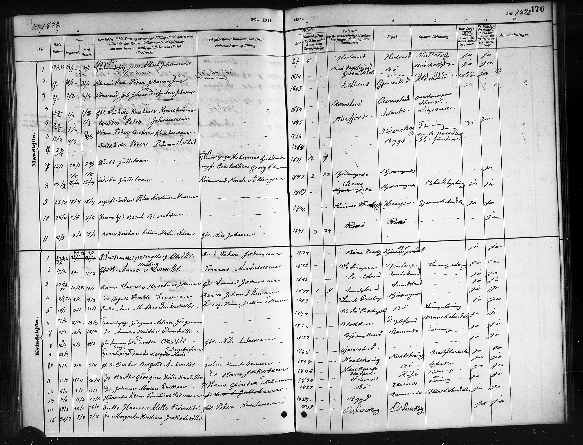 Ministerialprotokoller, klokkerbøker og fødselsregistre - Nordland, AV/SAT-A-1459/895/L1382: Parish register (copy) no. 895C04, 1885-1896, p. 176