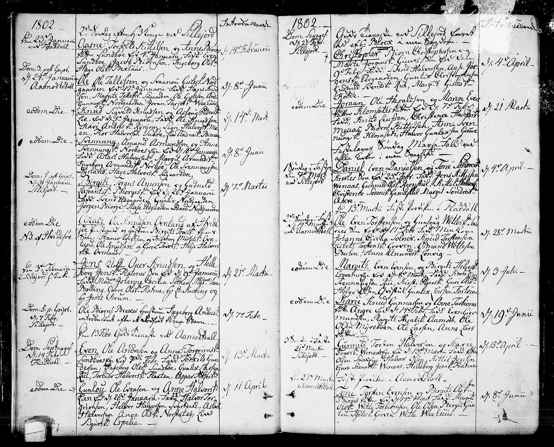 Seljord kirkebøker, AV/SAKO-A-20/F/Fa/L0009: Parish register (official) no. I 9, 1801-1814, p. 8