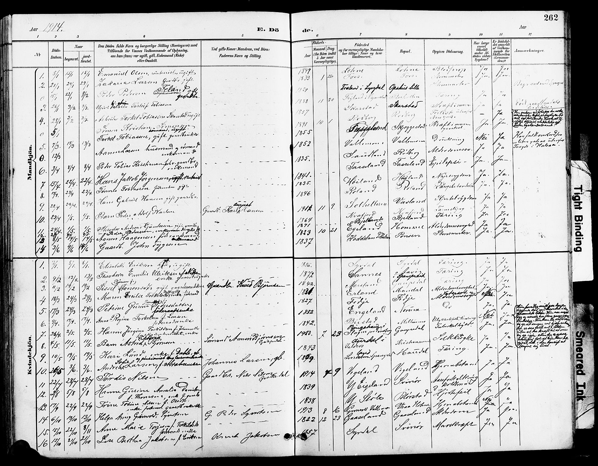 Sør-Audnedal sokneprestkontor, AV/SAK-1111-0039/F/Fb/Fbb/L0006: Parish register (copy) no. B 6, 1893-1915, p. 262