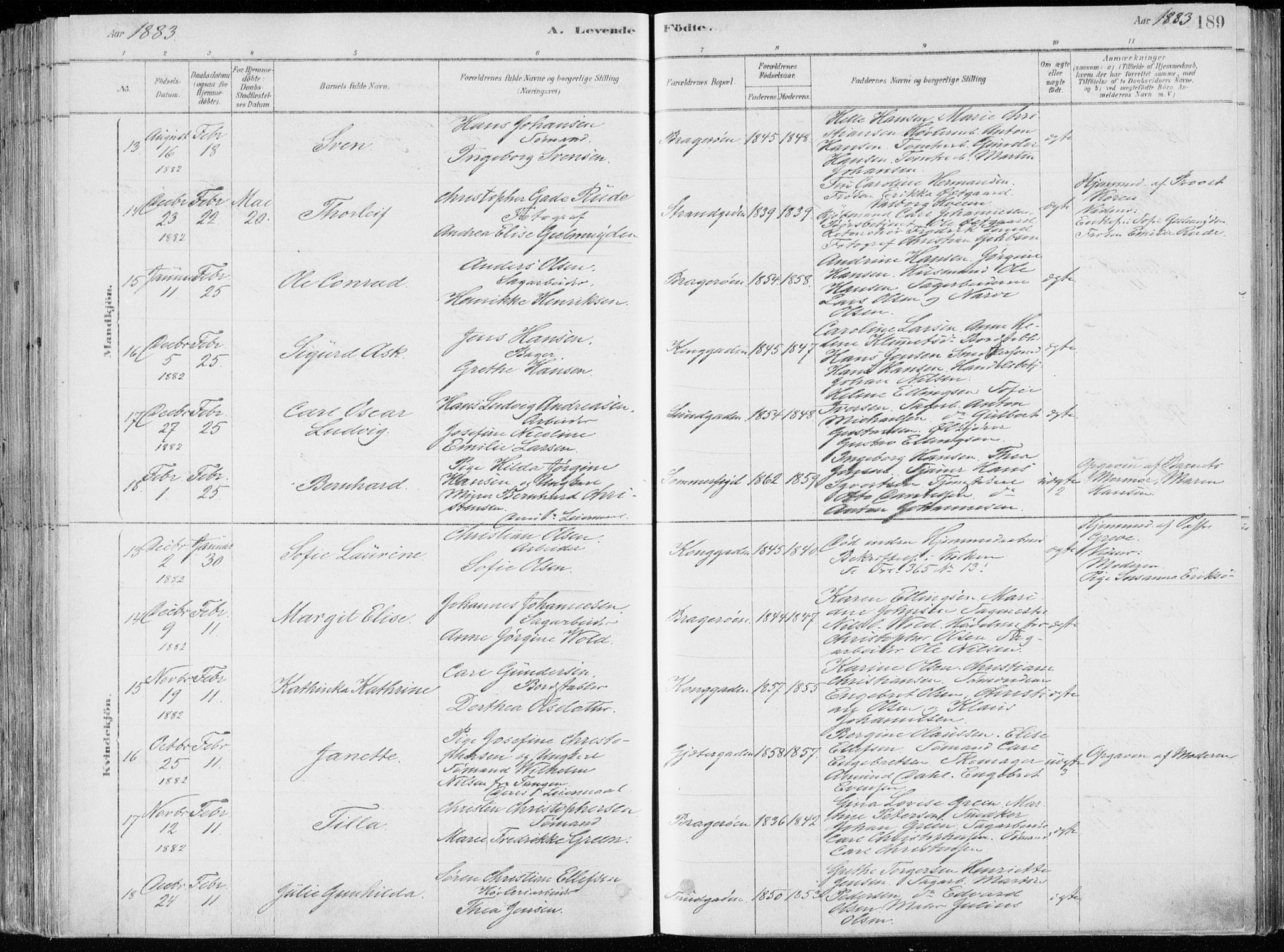 Bragernes kirkebøker, AV/SAKO-A-6/F/Fb/L0006a: Parish register (official) no. II 6A, 1878-1885, p. 189