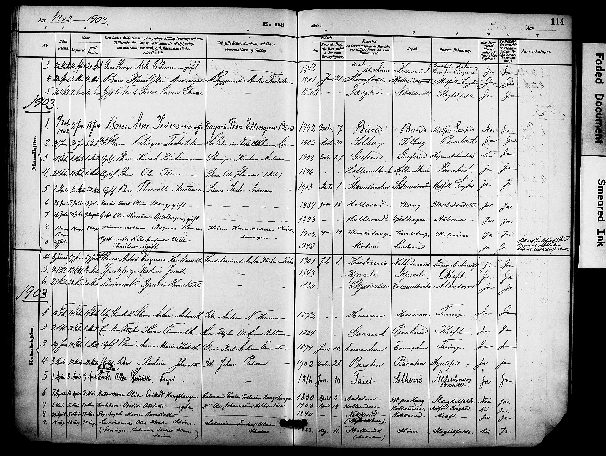 Hole kirkebøker, AV/SAKO-A-228/F/Fb/L0002: Parish register (official) no. II 2, 1892-1906, p. 114