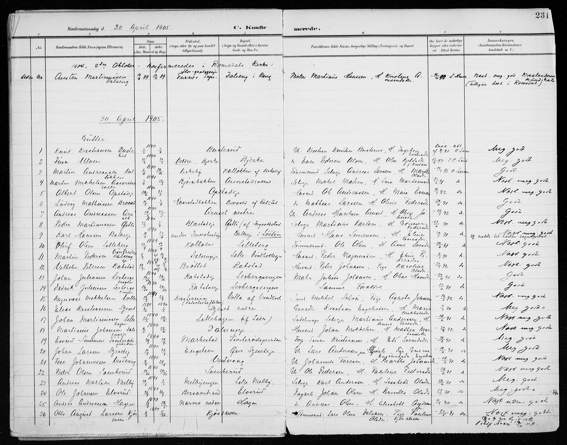 Vang prestekontor, Hedmark, SAH/PREST-008/H/Ha/Haa/L0021: Parish register (official) no. 21, 1902-1917, p. 231