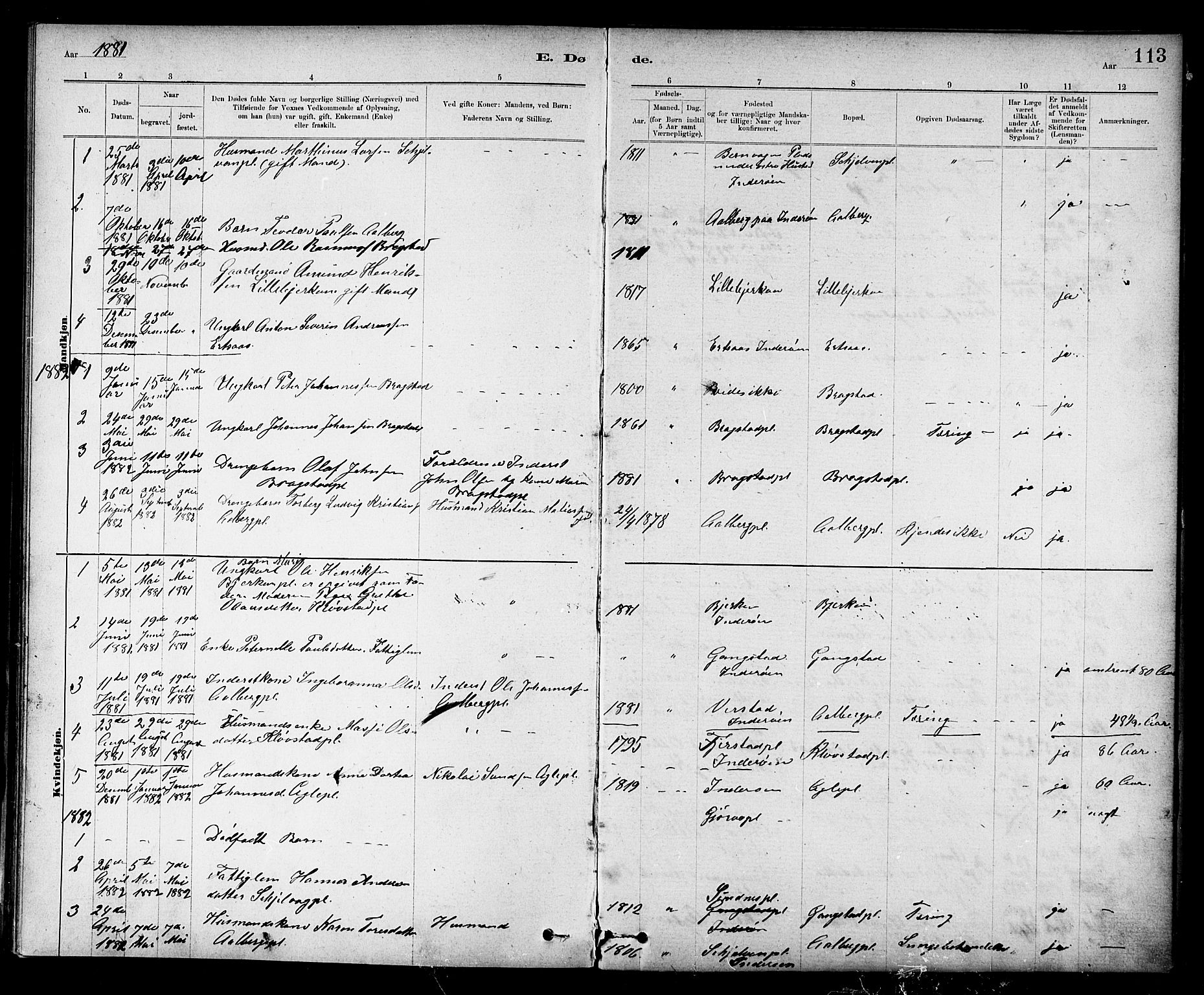 Ministerialprotokoller, klokkerbøker og fødselsregistre - Nord-Trøndelag, AV/SAT-A-1458/732/L0318: Parish register (copy) no. 732C02, 1881-1911, p. 113