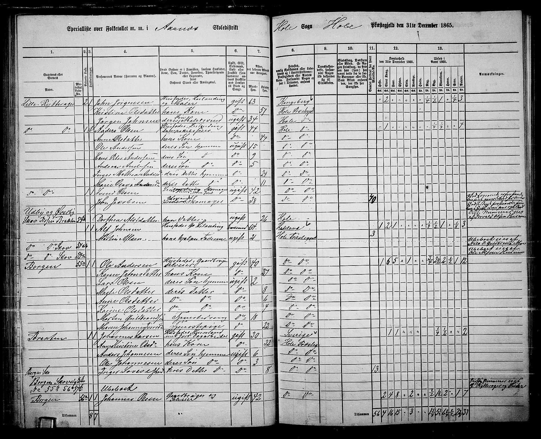 RA, 1865 census for Hole, 1865, p. 50