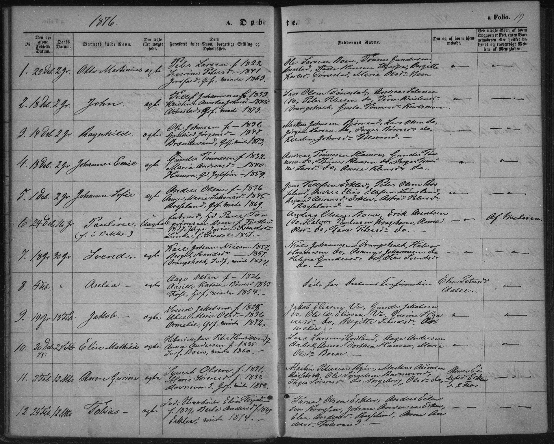 Tveit sokneprestkontor, SAK/1111-0043/F/Fa/L0006: Parish register (official) no. A 6, 1872-1886, p. 19