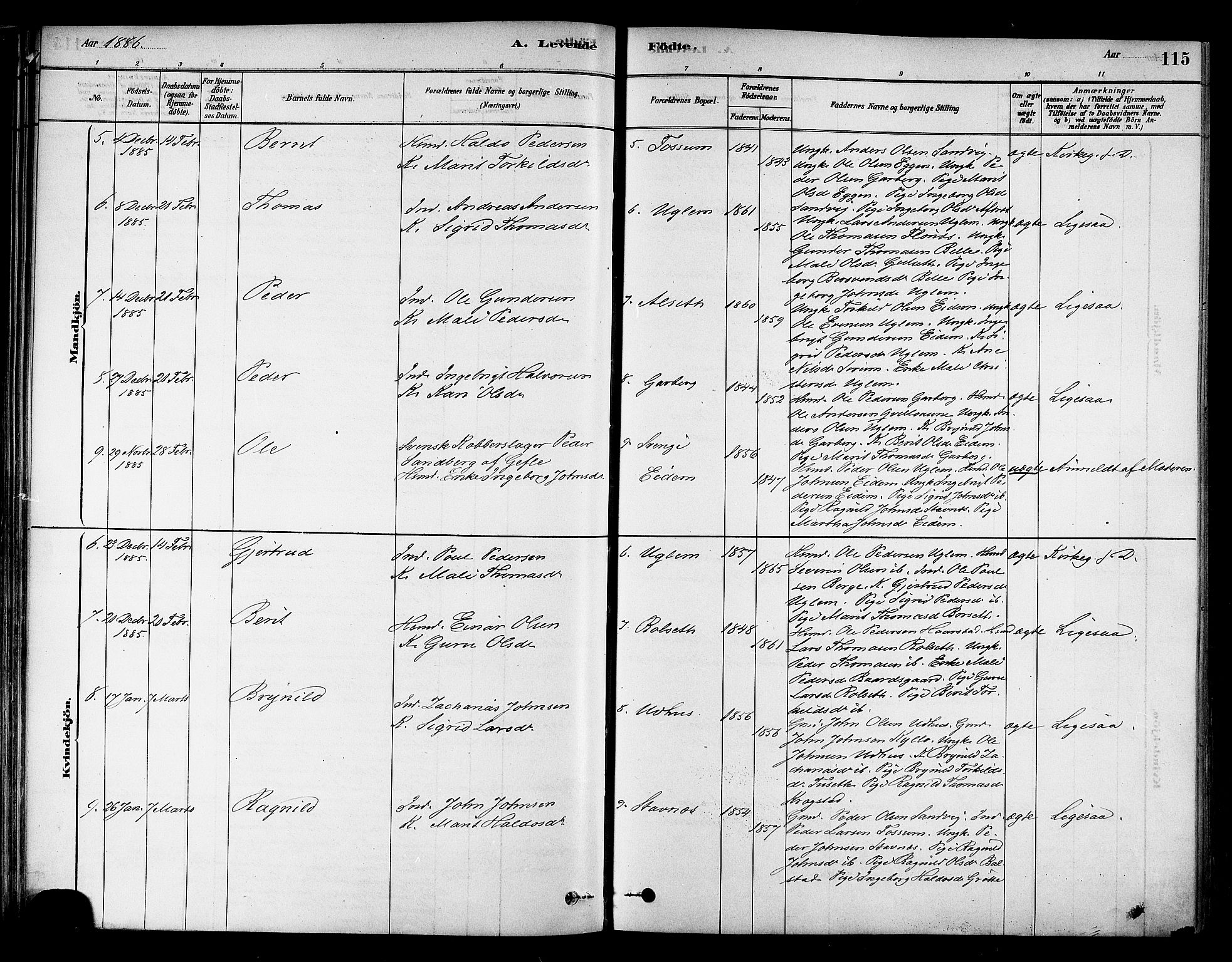 Ministerialprotokoller, klokkerbøker og fødselsregistre - Sør-Trøndelag, SAT/A-1456/695/L1148: Parish register (official) no. 695A08, 1878-1891, p. 115