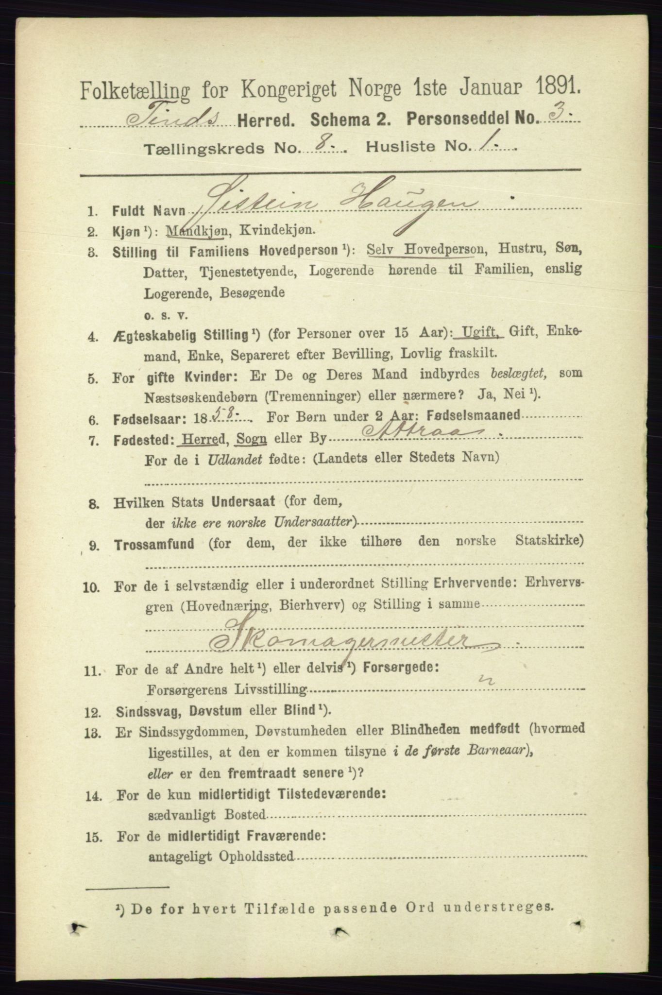 RA, 1891 census for 0826 Tinn, 1891, p. 1663