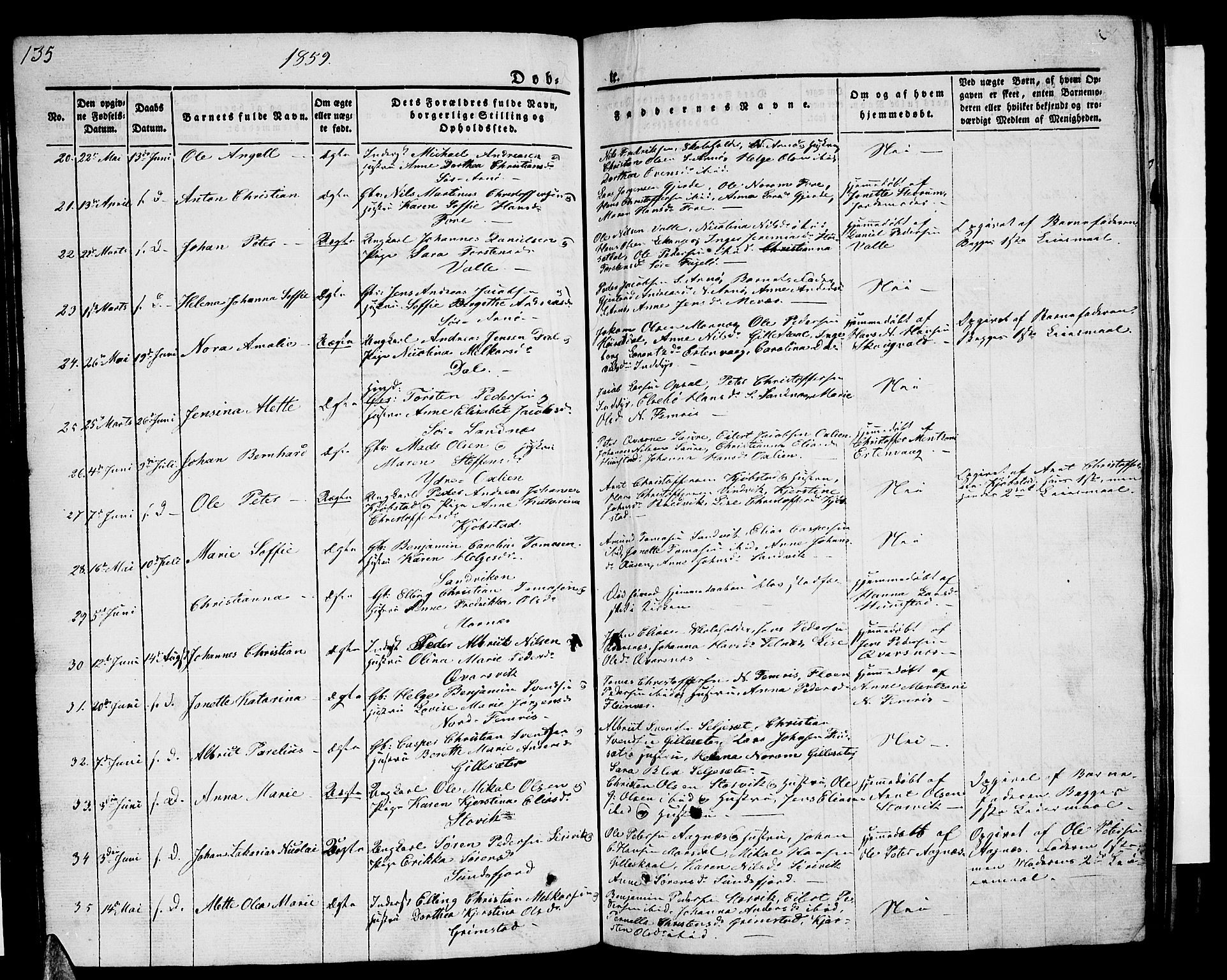 Ministerialprotokoller, klokkerbøker og fødselsregistre - Nordland, SAT/A-1459/805/L0106: Parish register (copy) no. 805C02, 1841-1861, p. 135