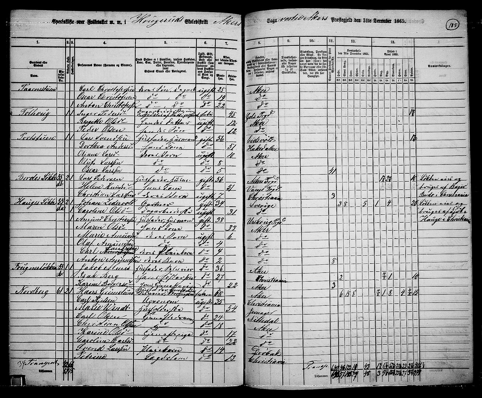 RA, 1865 census for Vestre Aker, 1865, p. 166