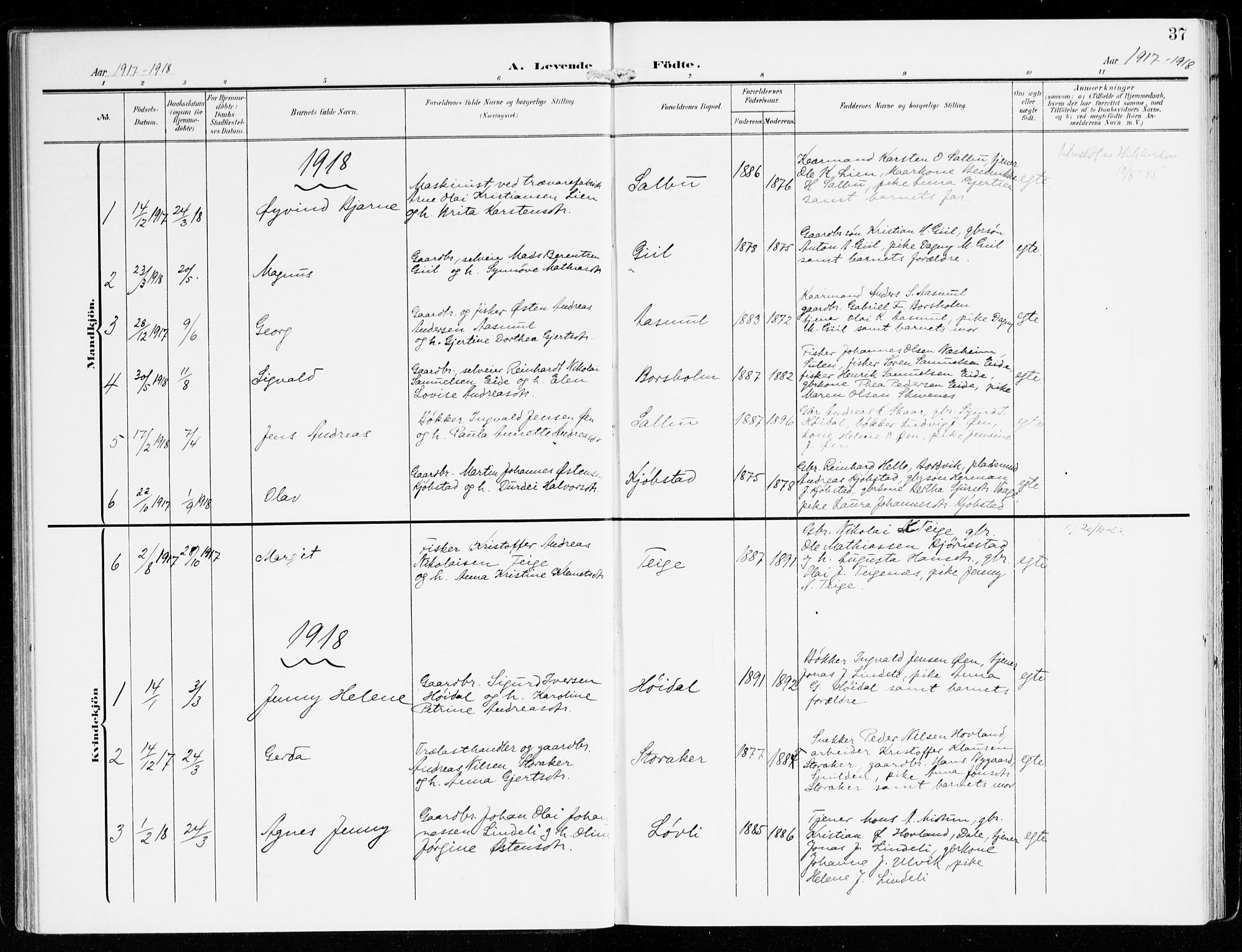 Hyllestad sokneprestembete, SAB/A-80401: Parish register (official) no. D 2, 1905-1919, p. 37