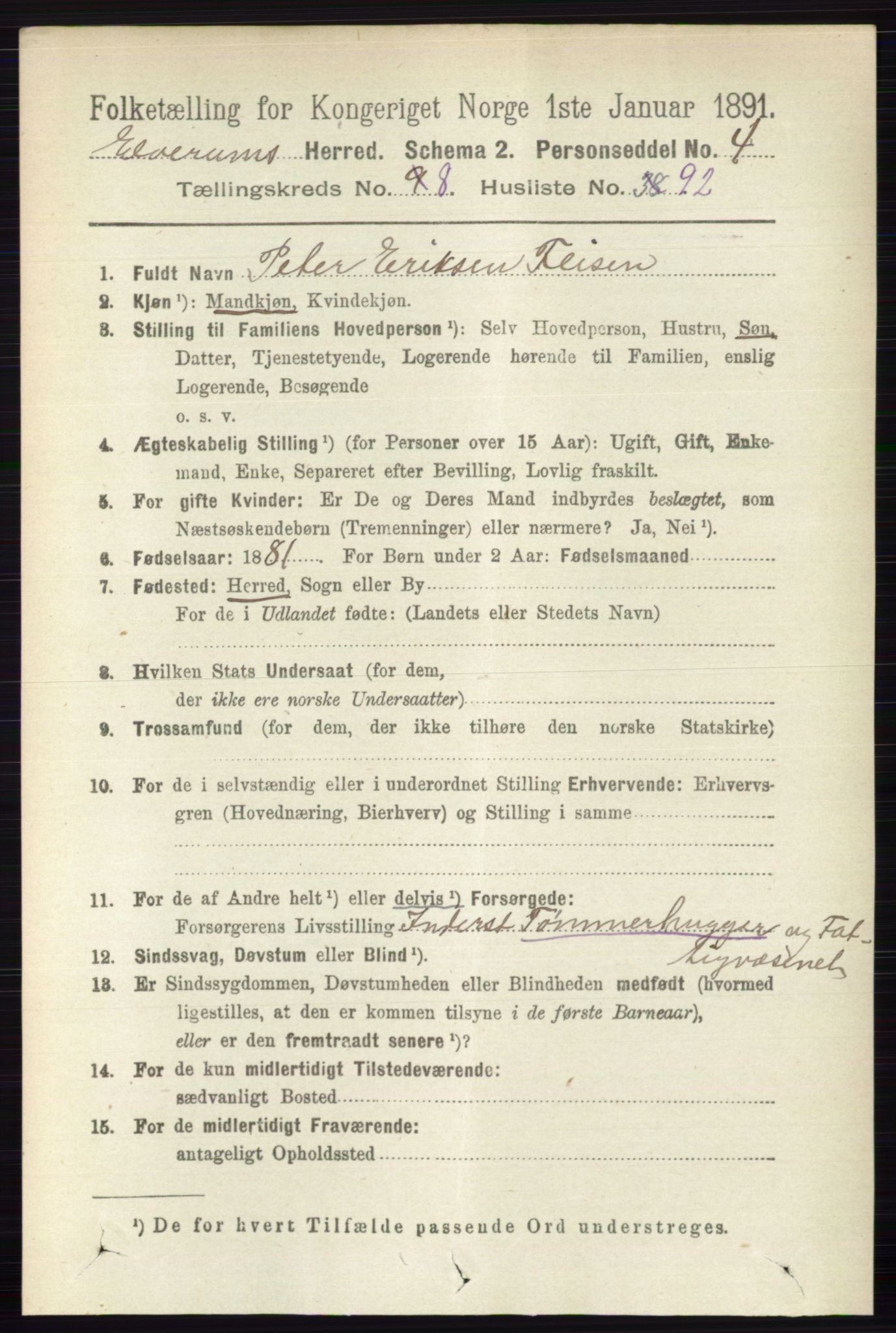 RA, 1891 census for 0427 Elverum, 1891, p. 7594