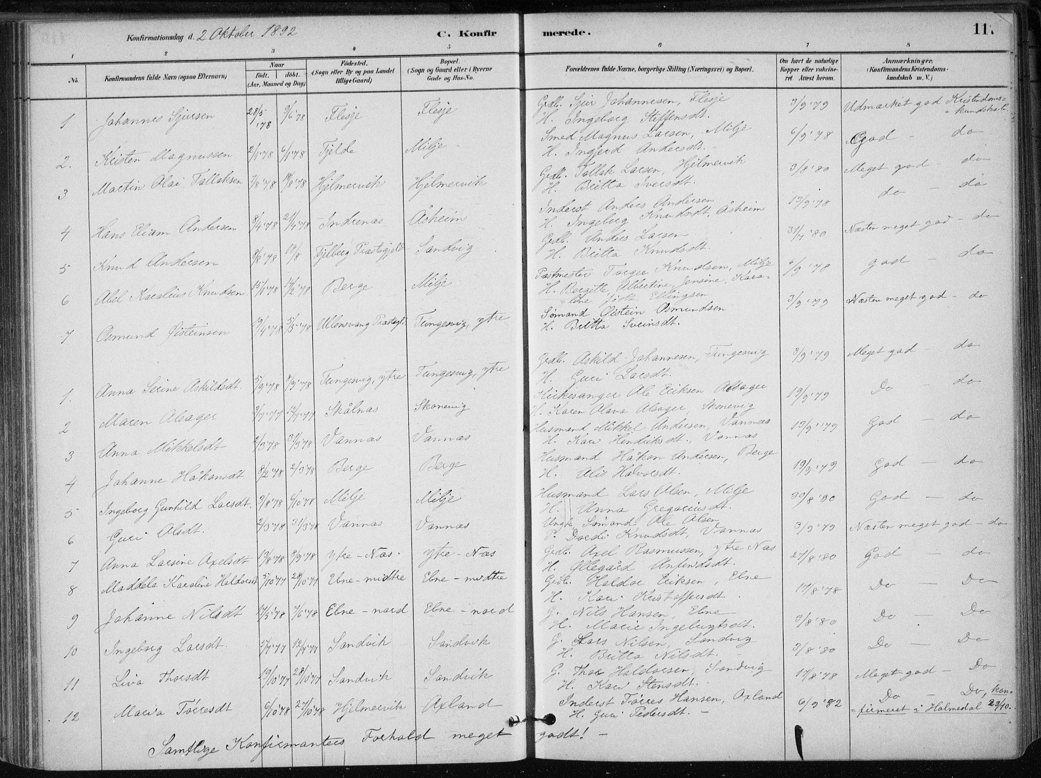 Skånevik sokneprestembete, SAB/A-77801/H/Haa: Parish register (official) no. B 1, 1879-1914, p. 117