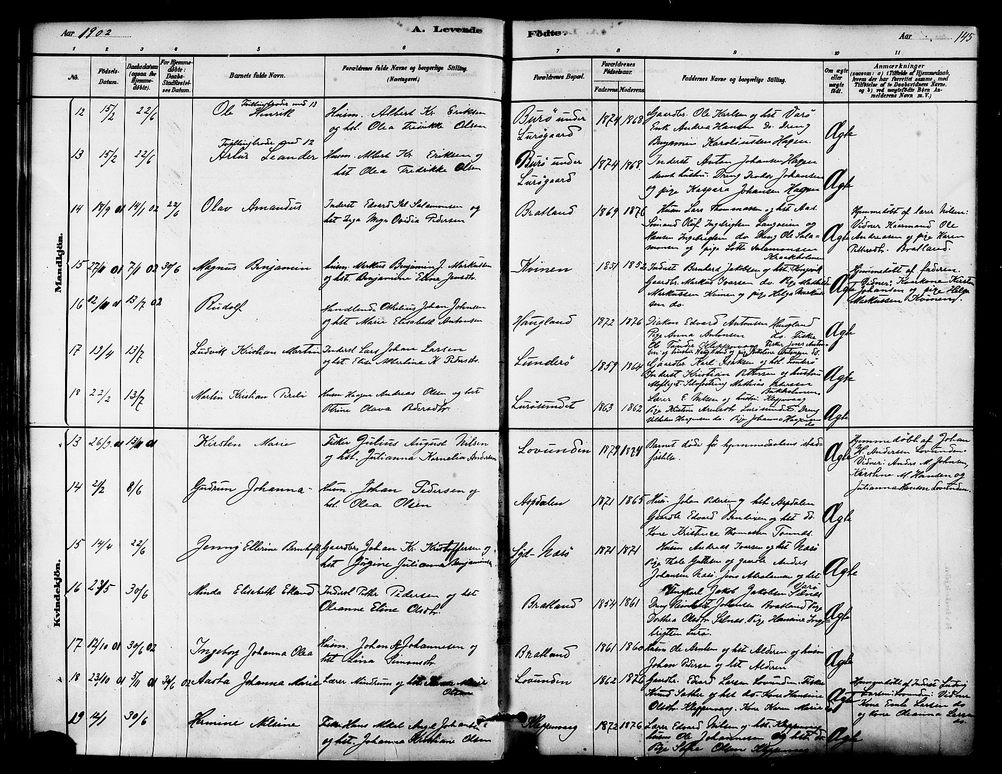 Ministerialprotokoller, klokkerbøker og fødselsregistre - Nordland, SAT/A-1459/839/L0568: Parish register (official) no. 839A05, 1880-1902, p. 145