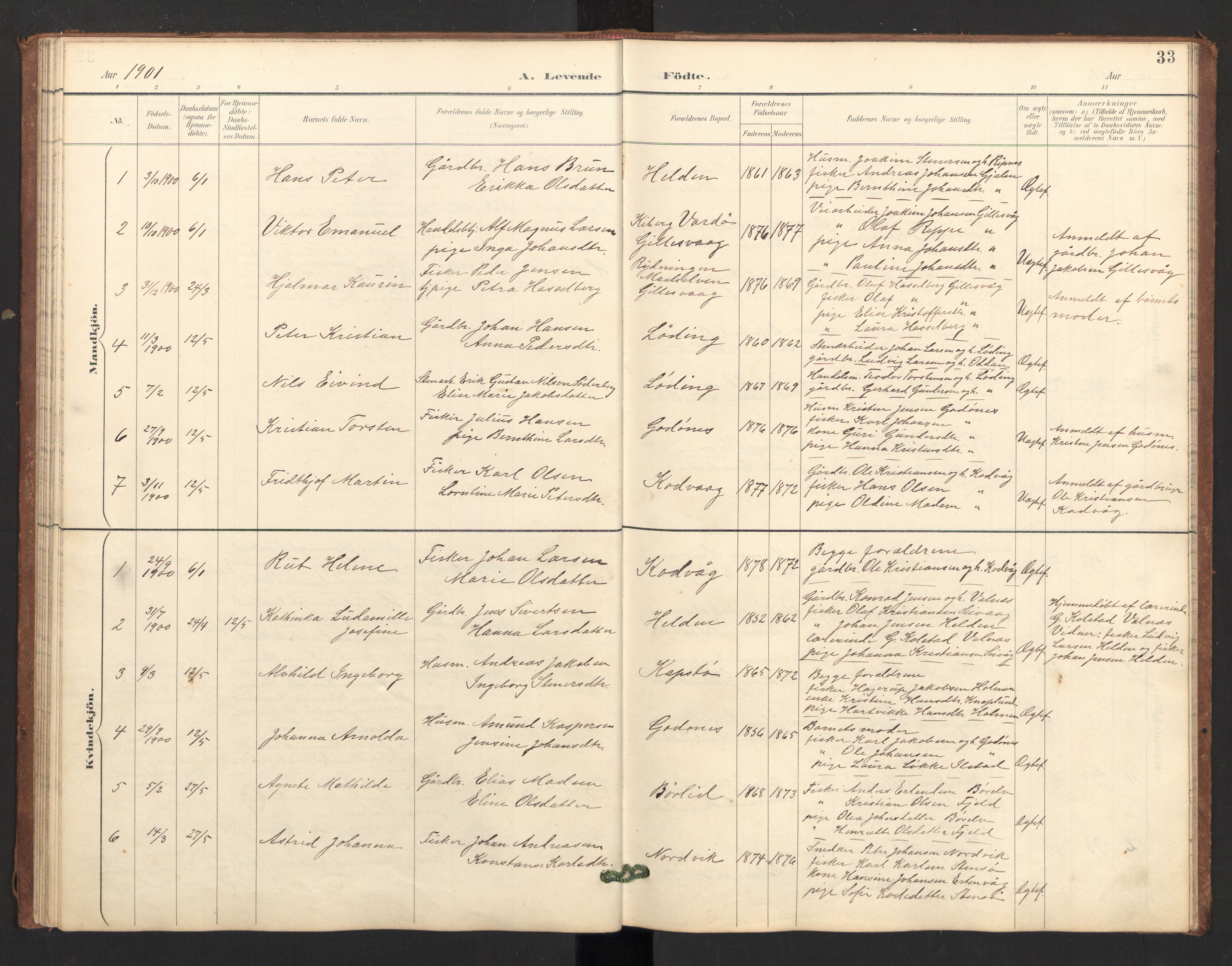 Ministerialprotokoller, klokkerbøker og fødselsregistre - Nordland, SAT/A-1459/804/L0087: Parish register (official) no. 804A08, 1894-1907, p. 33