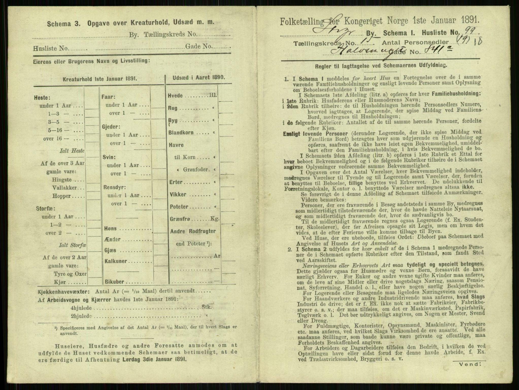 RA, 1891 census for 1103 Stavanger, 1891, p. 2985