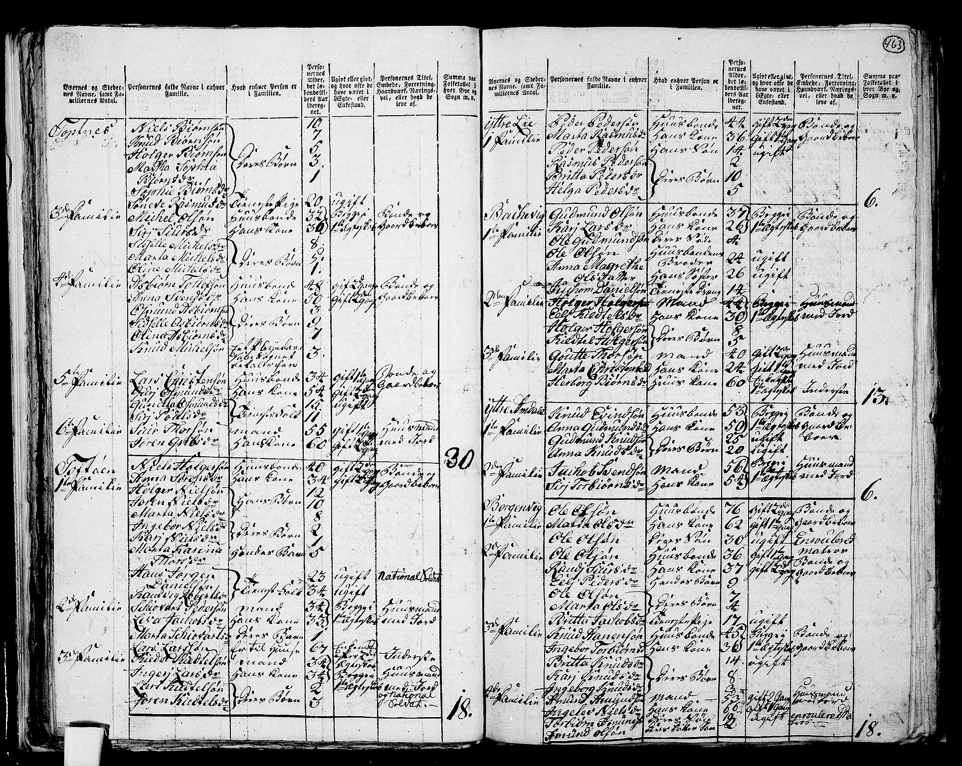 RA, 1801 census for 1139P Nedstrand, 1801, p. 462b-463a