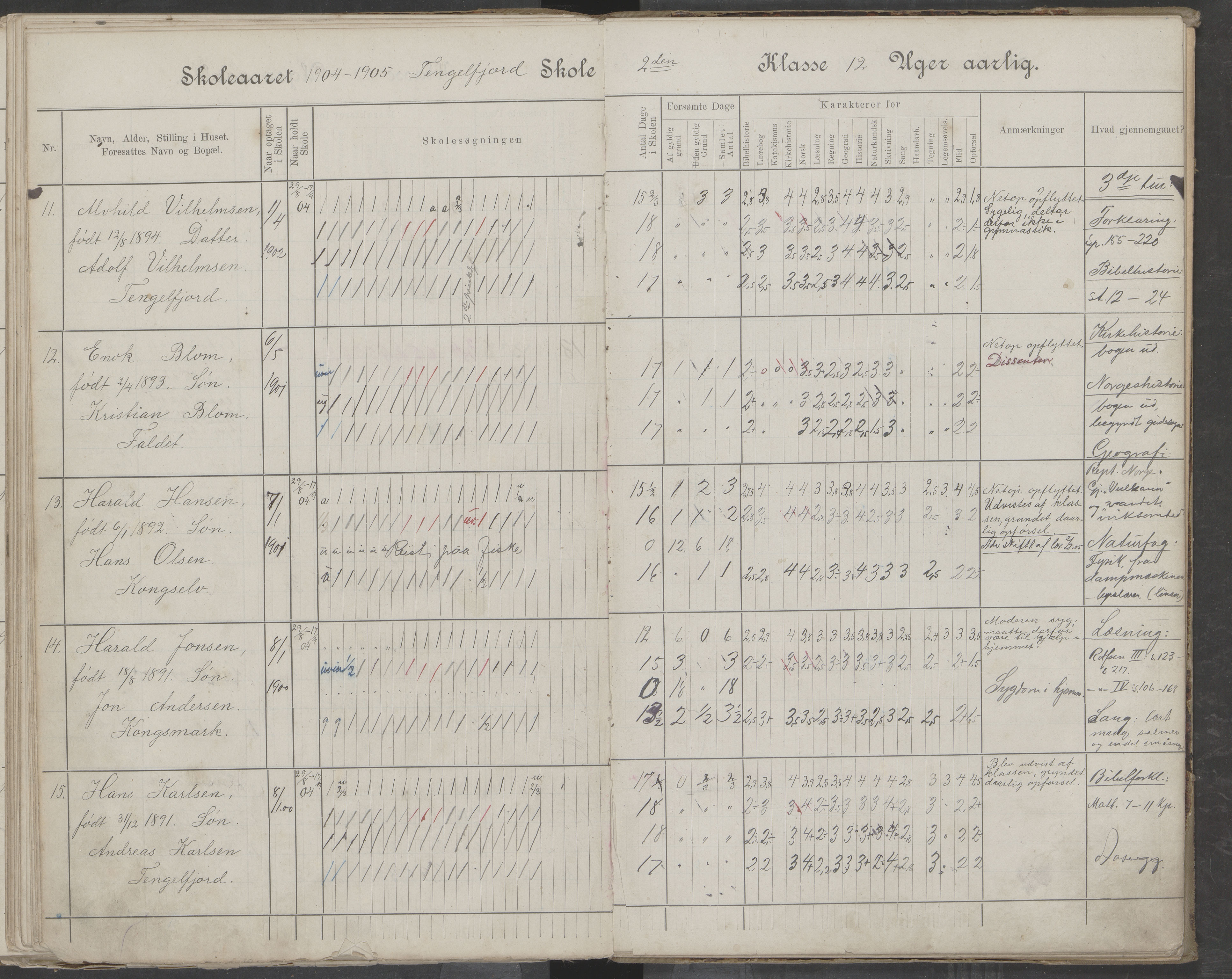 Hadsel kommune. Tengelfjord skolekrets, AIN/K-18660.510.04/G/L0001: Skoleprotokoll for Tengelfjord skole, 1899-1908