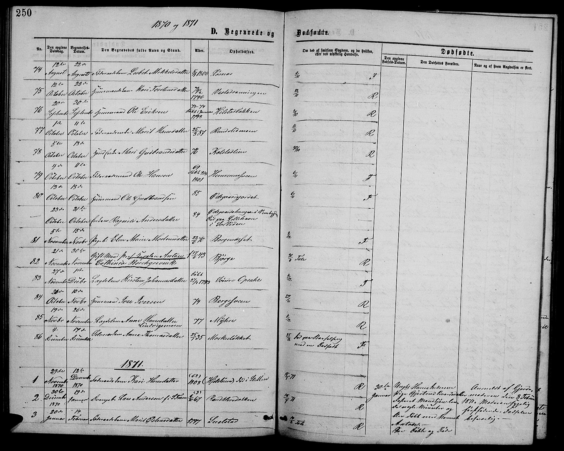 Ringebu prestekontor, SAH/PREST-082/H/Ha/Hab/L0004: Parish register (copy) no. 4, 1867-1879, p. 250