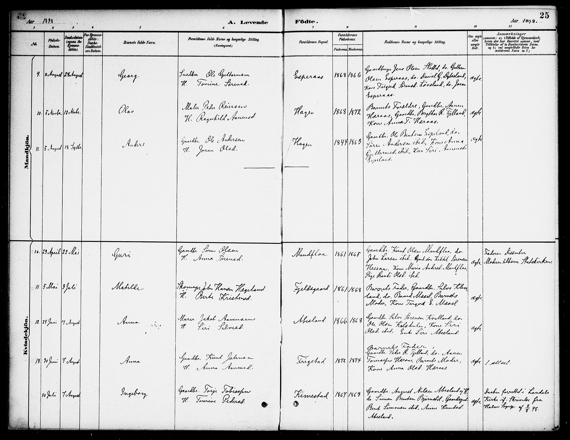 Bjelland sokneprestkontor, AV/SAK-1111-0005/F/Fa/Fab/L0004: Parish register (official) no. A 4, 1887-1920, p. 25