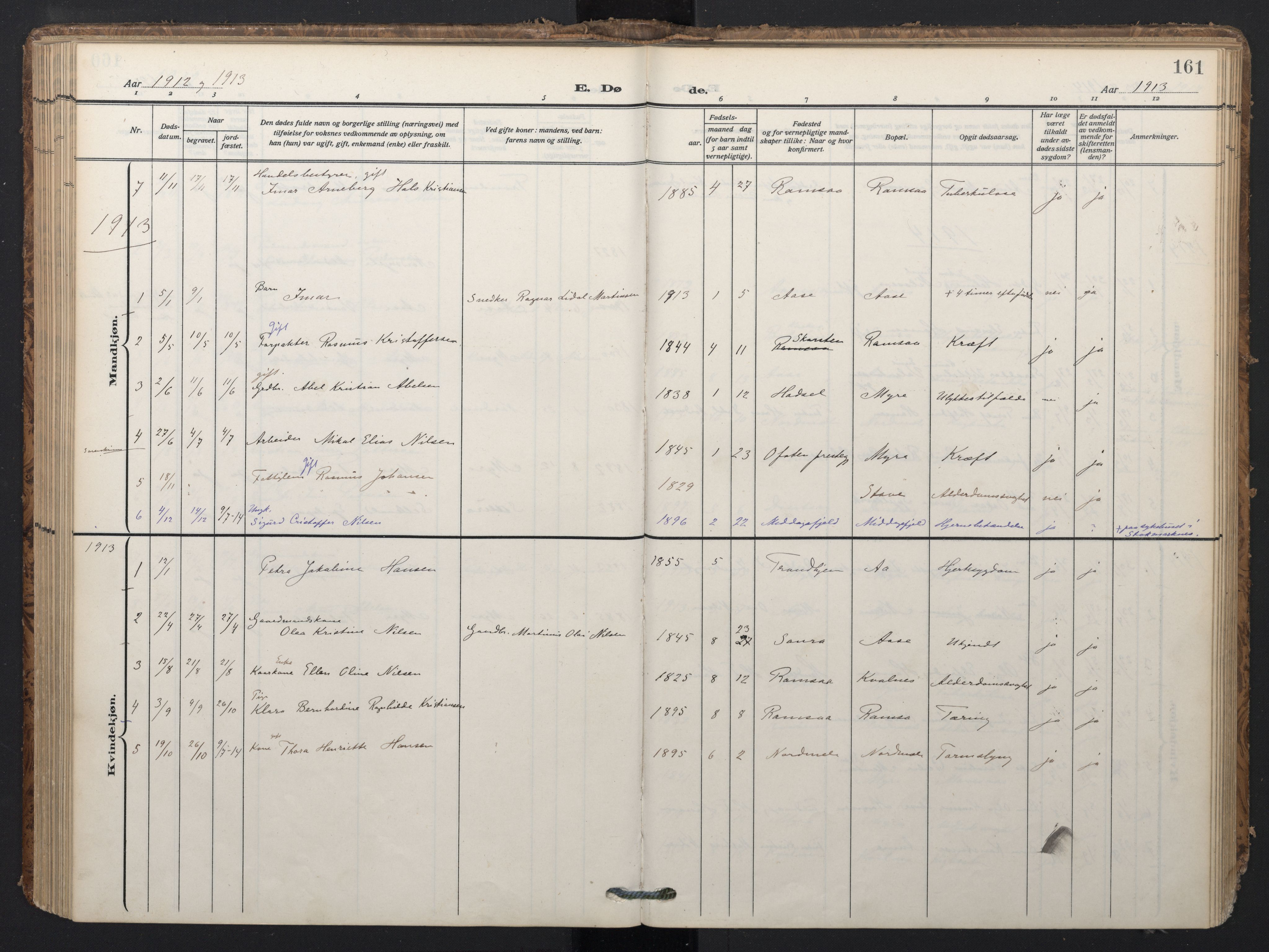 Ministerialprotokoller, klokkerbøker og fødselsregistre - Nordland, SAT/A-1459/897/L1401: Parish register (official) no. 897A08, 1909-1921, p. 161
